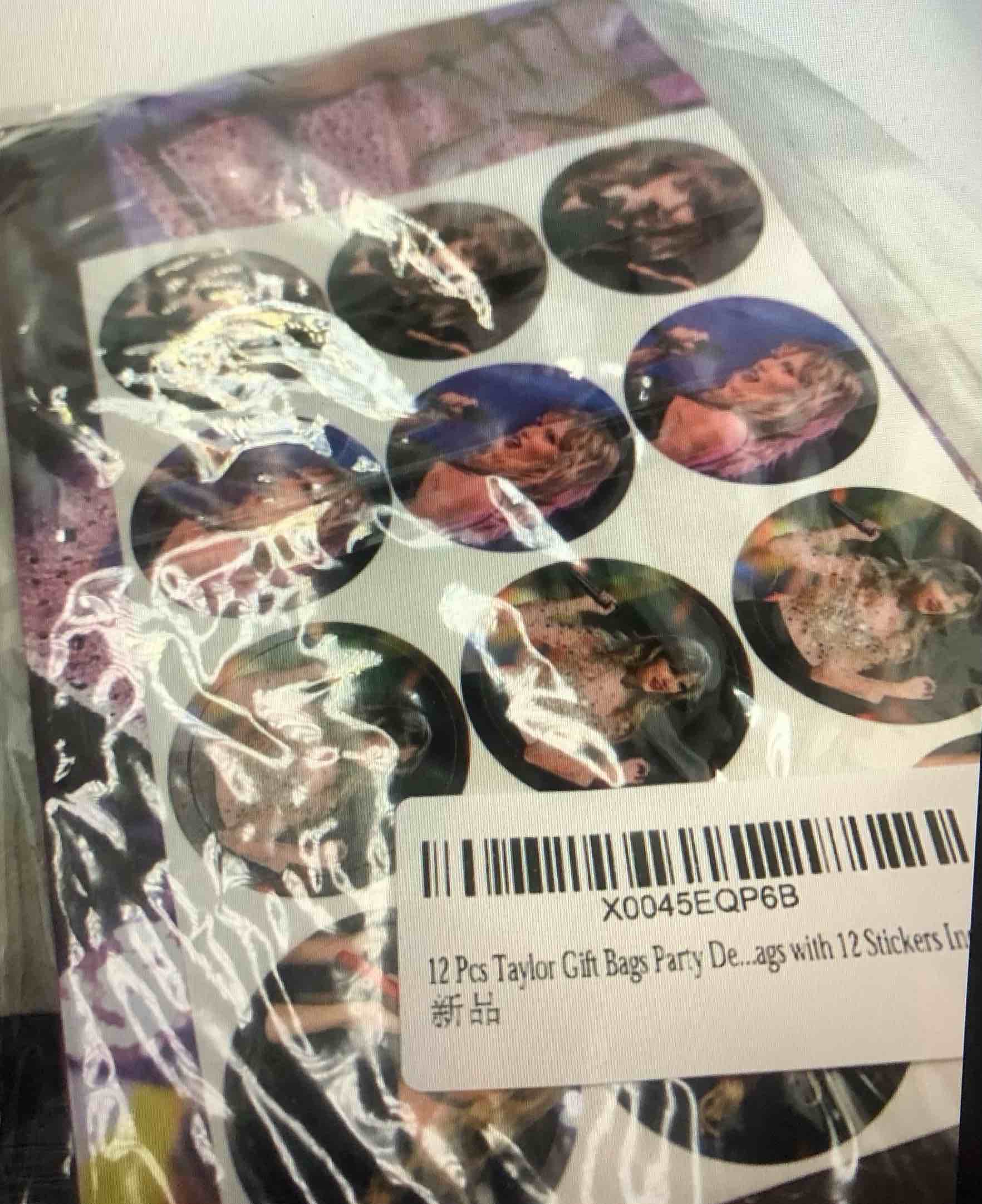 12 Pcs Taylor Gift Bags with 12 Stickers included