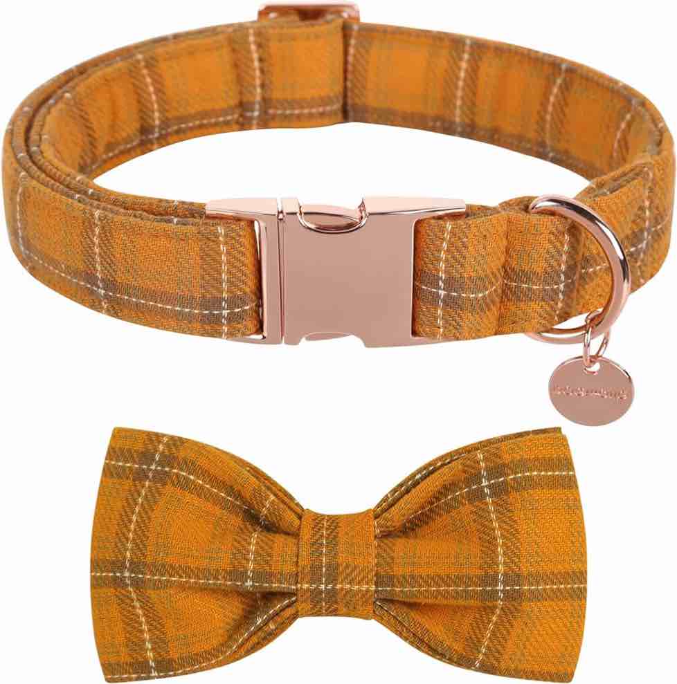 DOGWONG Fall Dog Collar with Flower, Orange Plaid Dog Collar Soft Durable Cotton Dog Collar for Small Medium Large Dog
