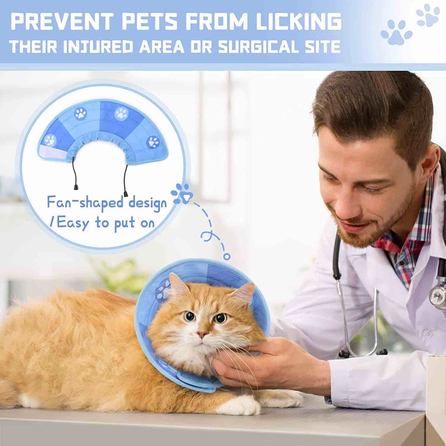 https://s3.amazonaws.com/lotting-images-prod/webster/WEB30349666_1717010627708.jpeg