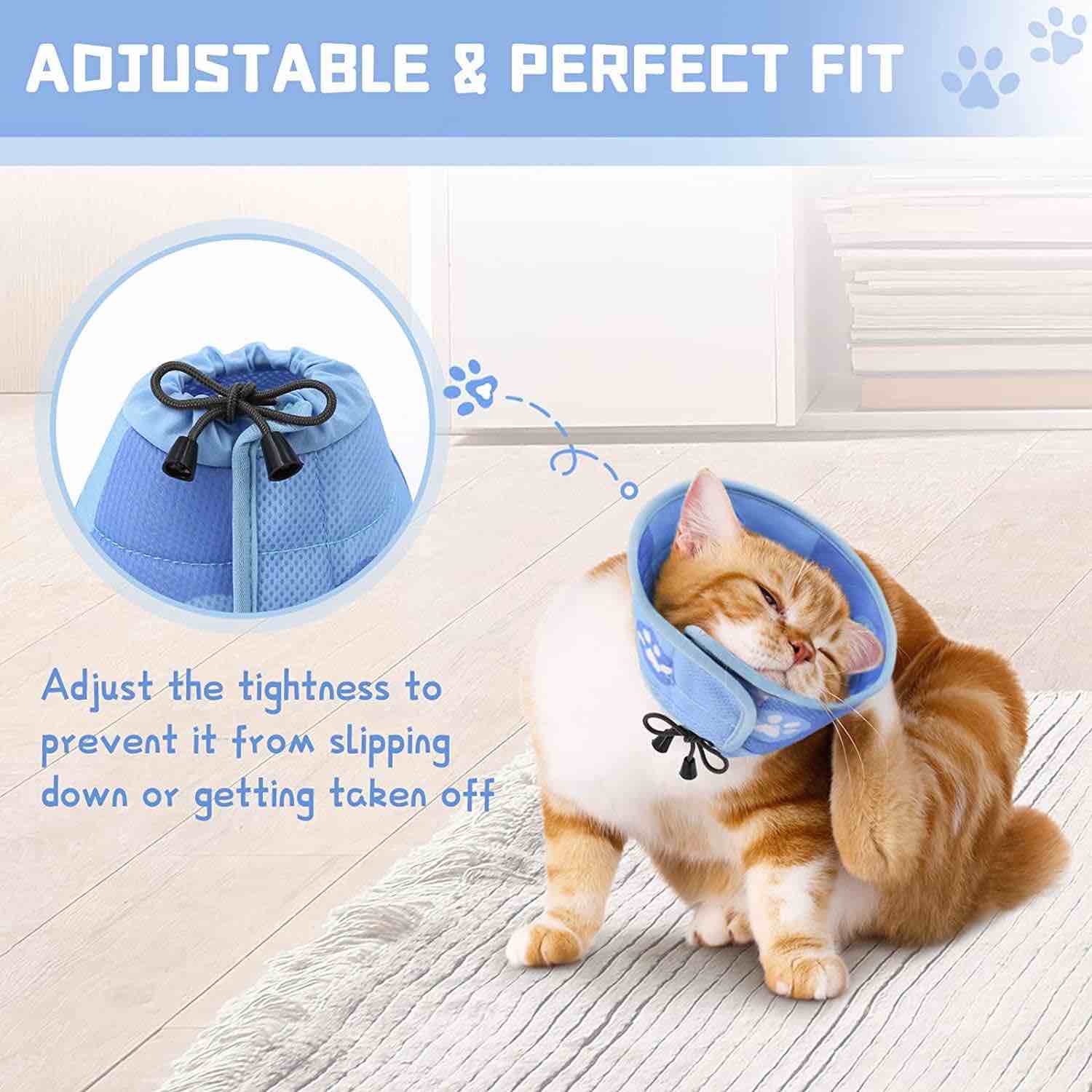 https://s3.amazonaws.com/lotting-images-prod/webster/WEB30349666_1717010631723.jpeg