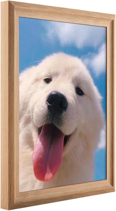 snzimtty 8x10 Picture Frame Wood,Simple Style in 8x10 Wood Frame Display with Plexiglass for Wall Art Photo and Prints or Tabletop Living Room Bedroom,Natural Wood 1Pack