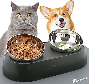 PETSIREE Elevated Cat Food Bowls With Silicone Feeding Mat For Cats, Kittens, Small Dogs - Anti-Stress Raised Stainless Steel Pet Bowl