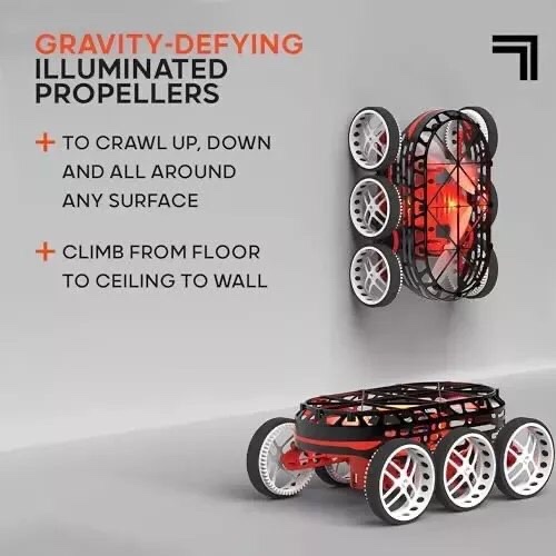 https://s3.amazonaws.com/lotting-images-prod/webster/WEB30391425_1718711544852.jpeg