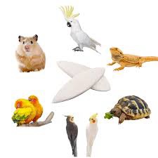 Ovveroche 2 Pcs Natural Cuttlebone Parakeets Pure Cuttlebone Calcium Stone for Birds Tortoise Parakeets Canaries Cockatiels Turtles 21-25cm/8.3-9.9inch