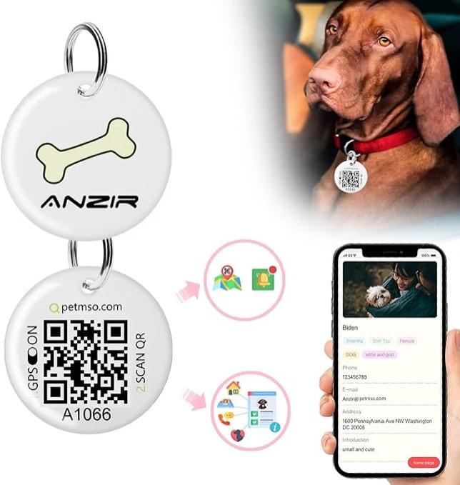 ANZIR QR Code Dog Tags (Bone White)