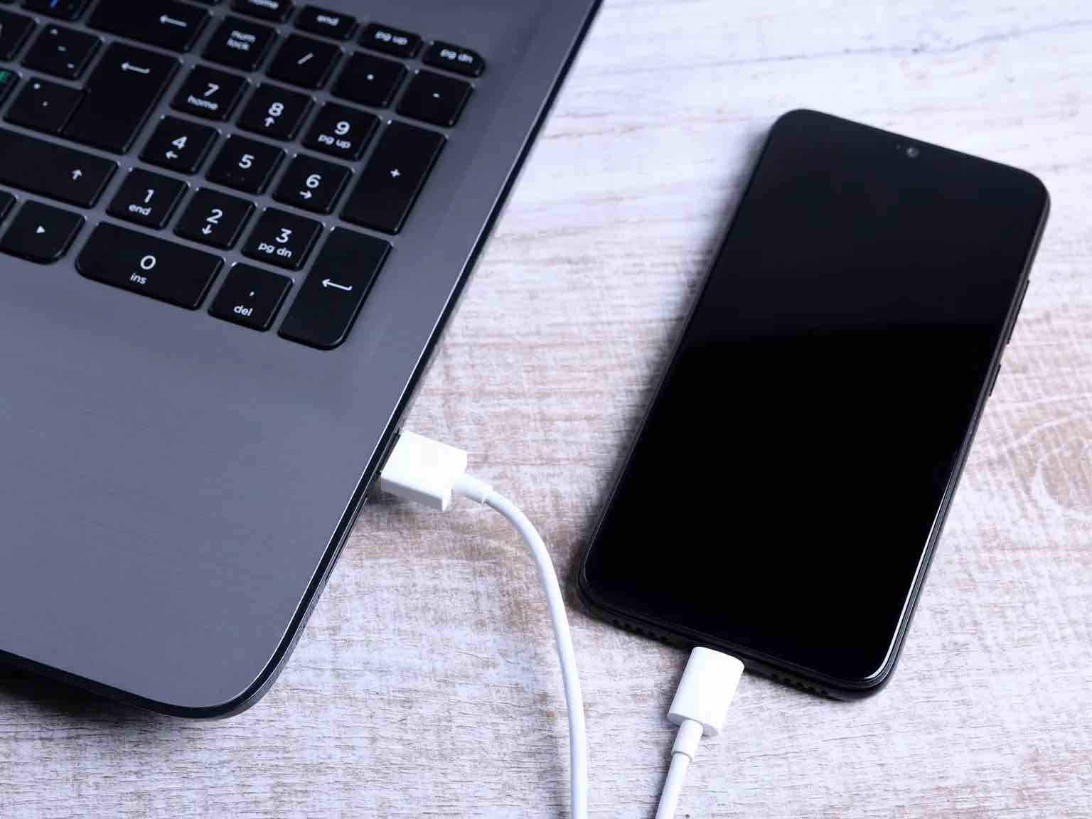 USB Cable (White, 6 Feet, 2-Pack)