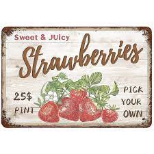 Metal Tin Sign 8x12, Vintage Fresh Strawberry, Wall Decor Sweet Juicy Strawberries Pick Your Own Poster Art for Home Living Room Bedroom Garden Garage Office Cafe Bar Pub