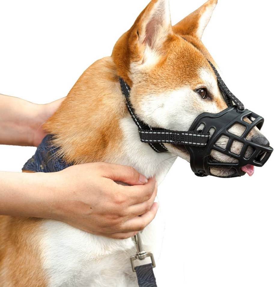 Pirate Trove Dog Muzzles - for Medium Dog Breeds, Prevents Chewing and Biting, Allows Panting and Drinking-Comfortable, Humane, Adjustable, Lightweight, Durable (M (25-35 KG))