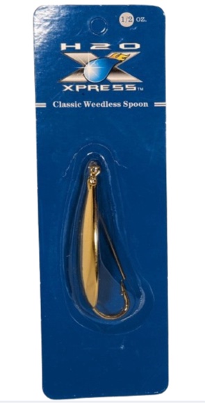 H20 XPRESS Silver Minnow Gold 2 1/2in -1/2 oz