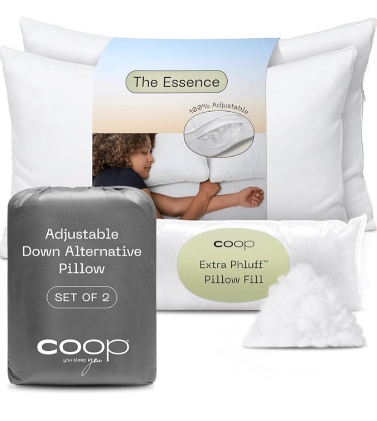 Coop Home Goods The Essence Down Alternative Pillow Queen Size Set of 2, Best Pillows for Sleeping, Adjustable Alternative to Down Pillows, Luxury Hotel Pillows for Back, Stomach or Side Sleepers