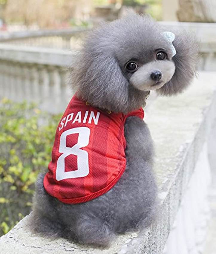 2022 World Cup Shirt for Dog, Soccer Jersey Pet Costume, Dog Jerseys for Small Medium Large Dogs, Football Shirts for Pets Spain Large