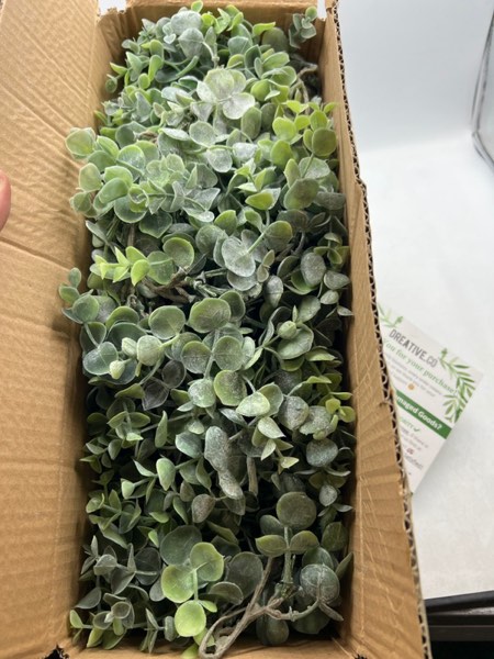 https://s3.amazonaws.com/lotting-images-prod/webster/WEB3054074_1689349577106.jpeg