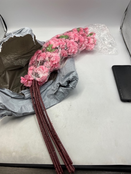 https://s3.amazonaws.com/lotting-images-prod/webster/WEB3068668_1692791750143.jpeg