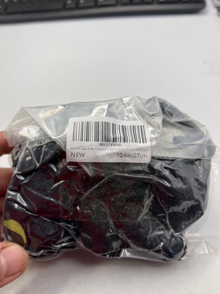 https://s3.amazonaws.com/lotting-images-prod/webster/WEB3092530_1698081076734.jpeg