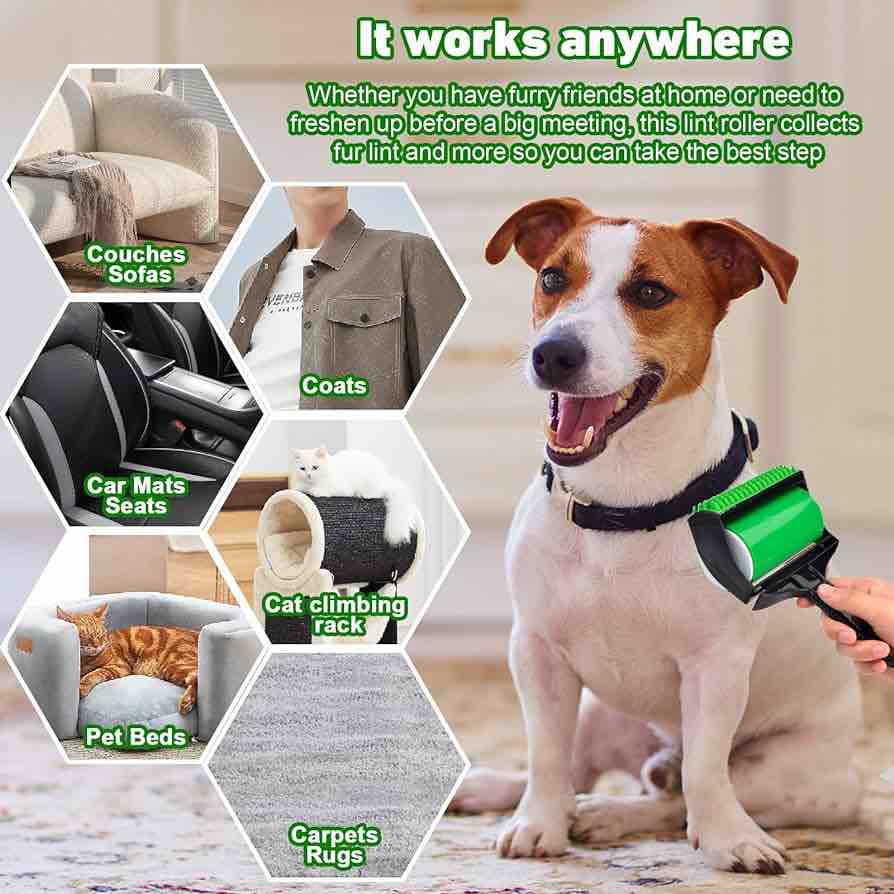 https://s3.amazonaws.com/lotting-images-prod/webster/WEB3098472_1699433794040.jpeg
