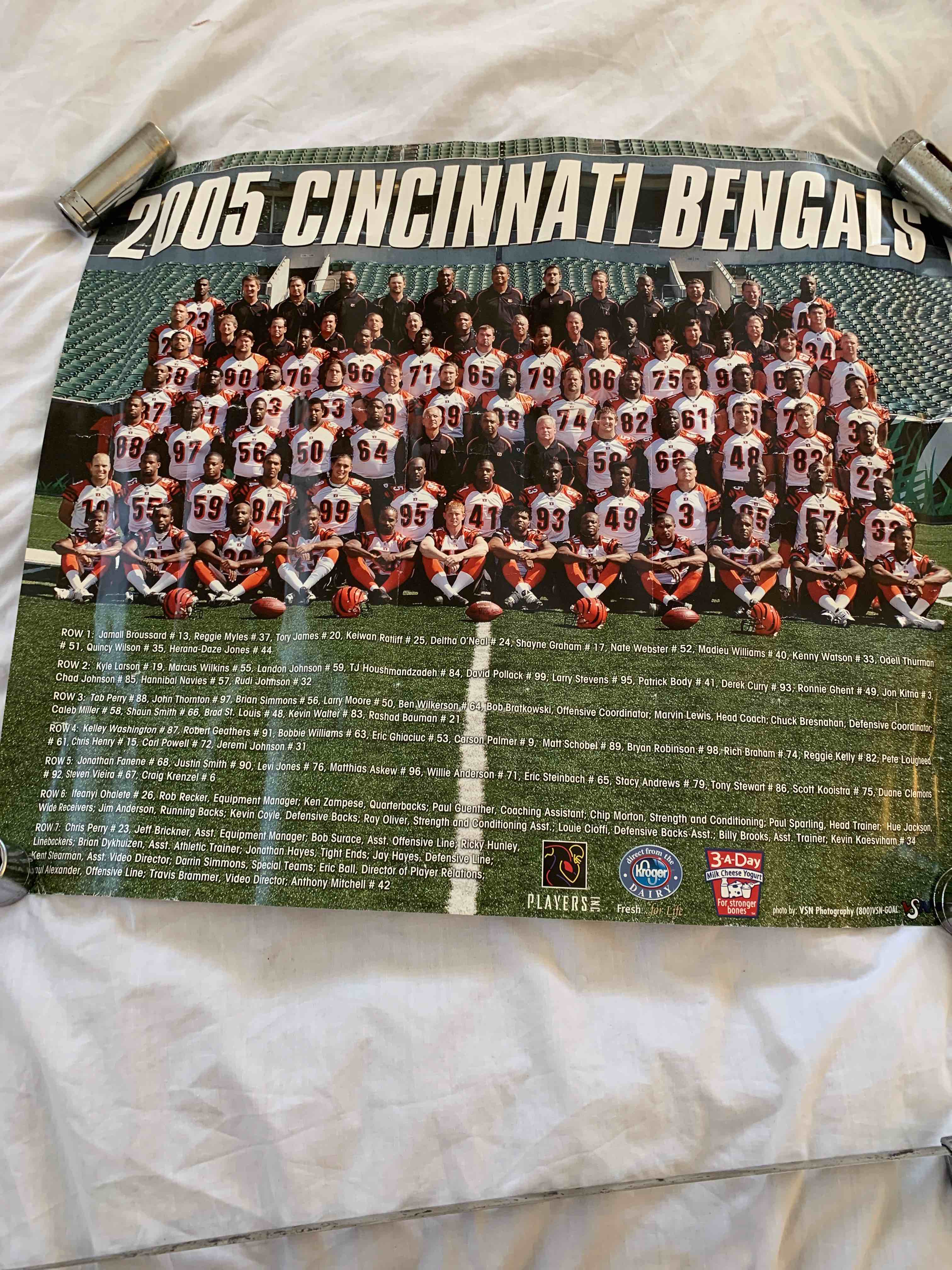 2005 Cincinnati Bengals Poster, 18” X 21”