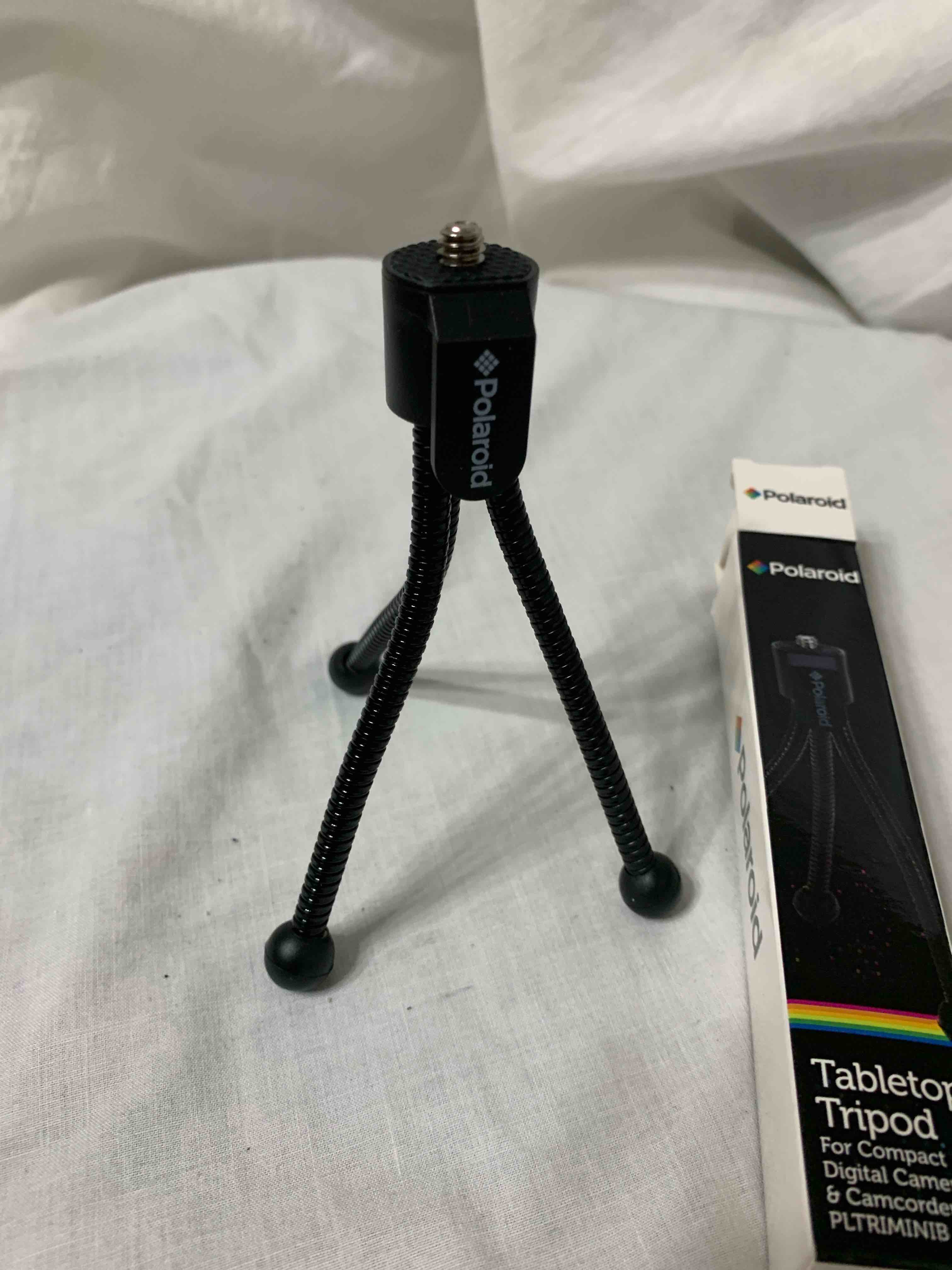 https://s3.amazonaws.com/lotting-images-prod/webster/WEB3108034_1734378520009.jpeg