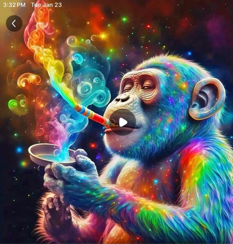 1 Set DIY 5D Diamond Painting Kit, Cheetah On The Tree, Sea Turtle, Dog, Dolphin Painting Wall Art Decor, Embroidery Kit Home Room Decor, Handmade Family Gift, Living Room Kitchen Bedroom Decorative Painting, No Frame