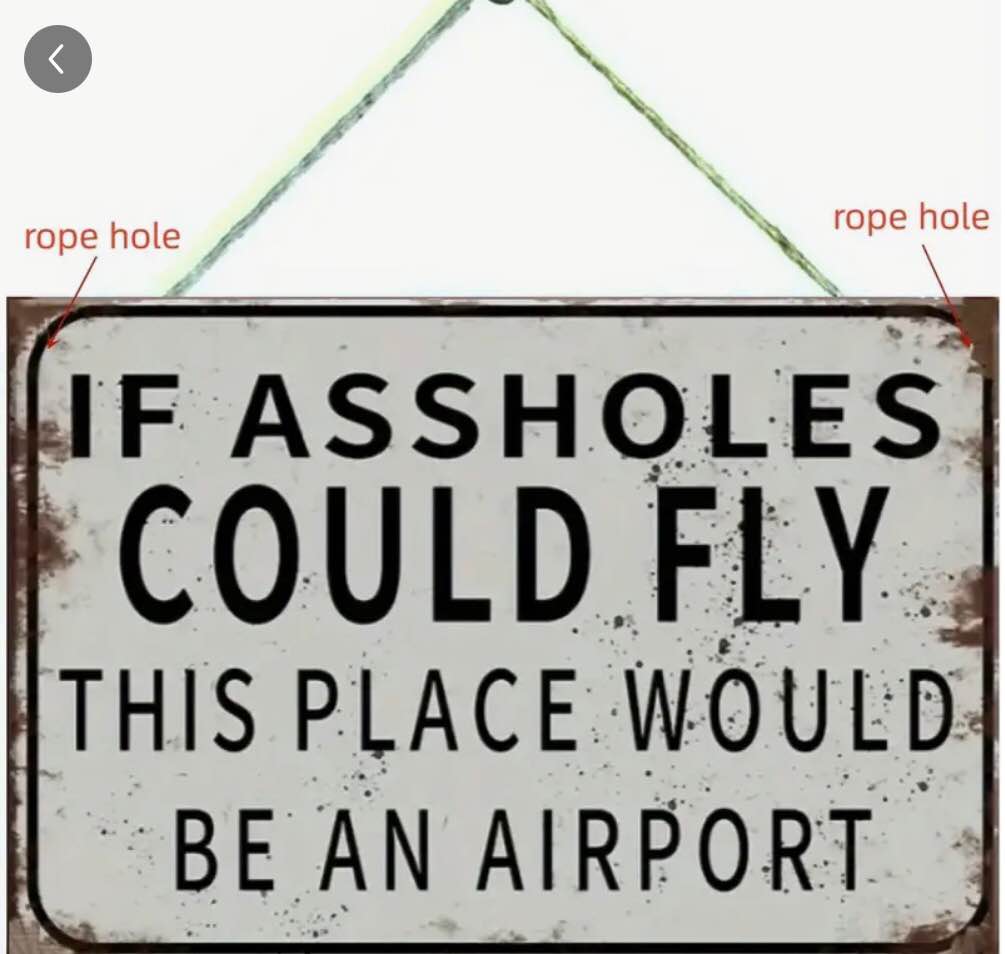 1pc 7.87inch *5.3inch Funny " If Assholes Could Fly " Vintage Plaque Decor, Home Decor, Restaurant Decor, Bar Decor, Cafe Decor, Garage Decor, Wall Decor Wooden Hanging Plaque Home Decoration