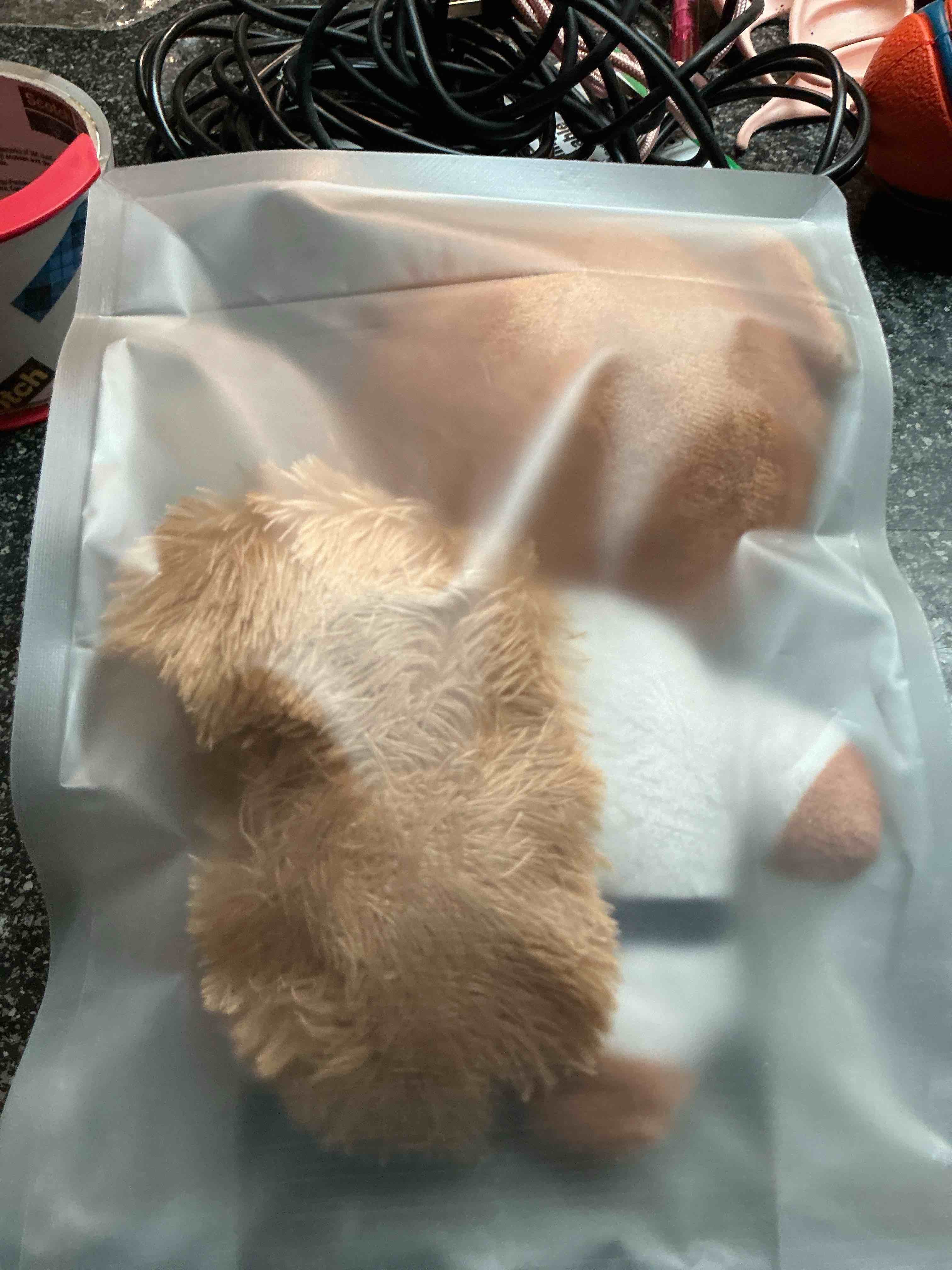 Team USA Dog Toy 