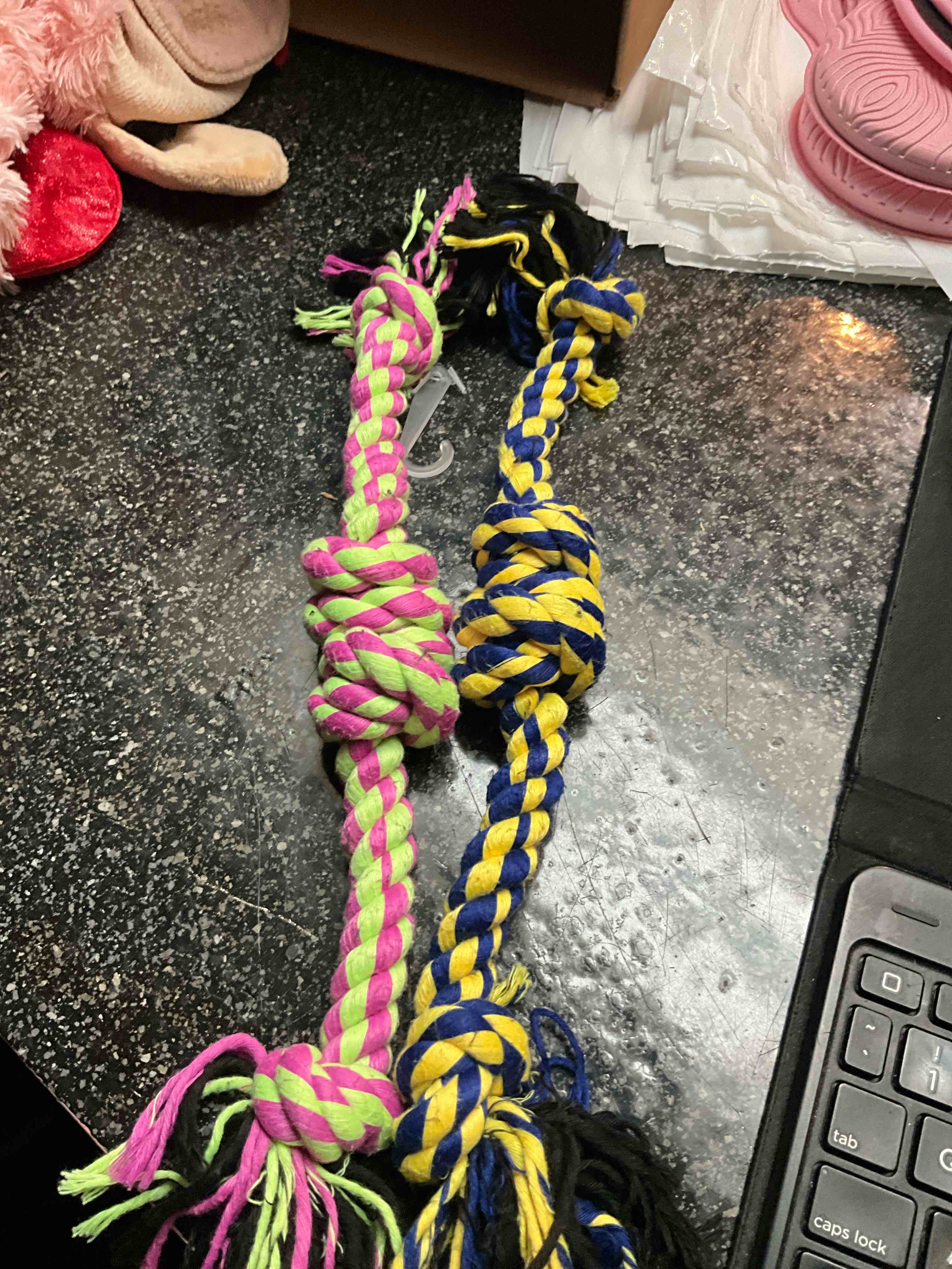 Dog - Tug A War - Ropes