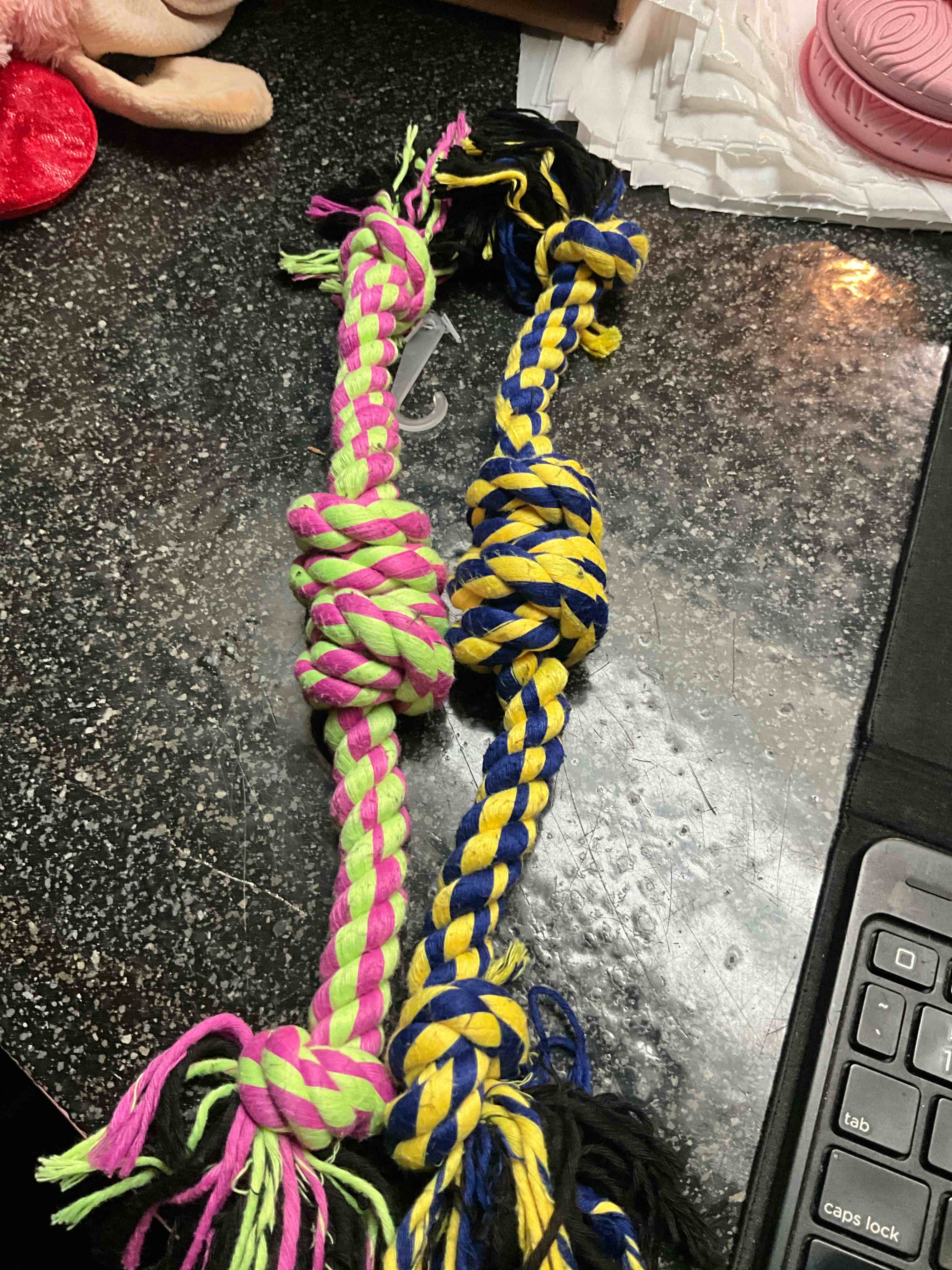 https://s3.amazonaws.com/lotting-images-prod/webster/WEB6310718_1759016802352.jpeg