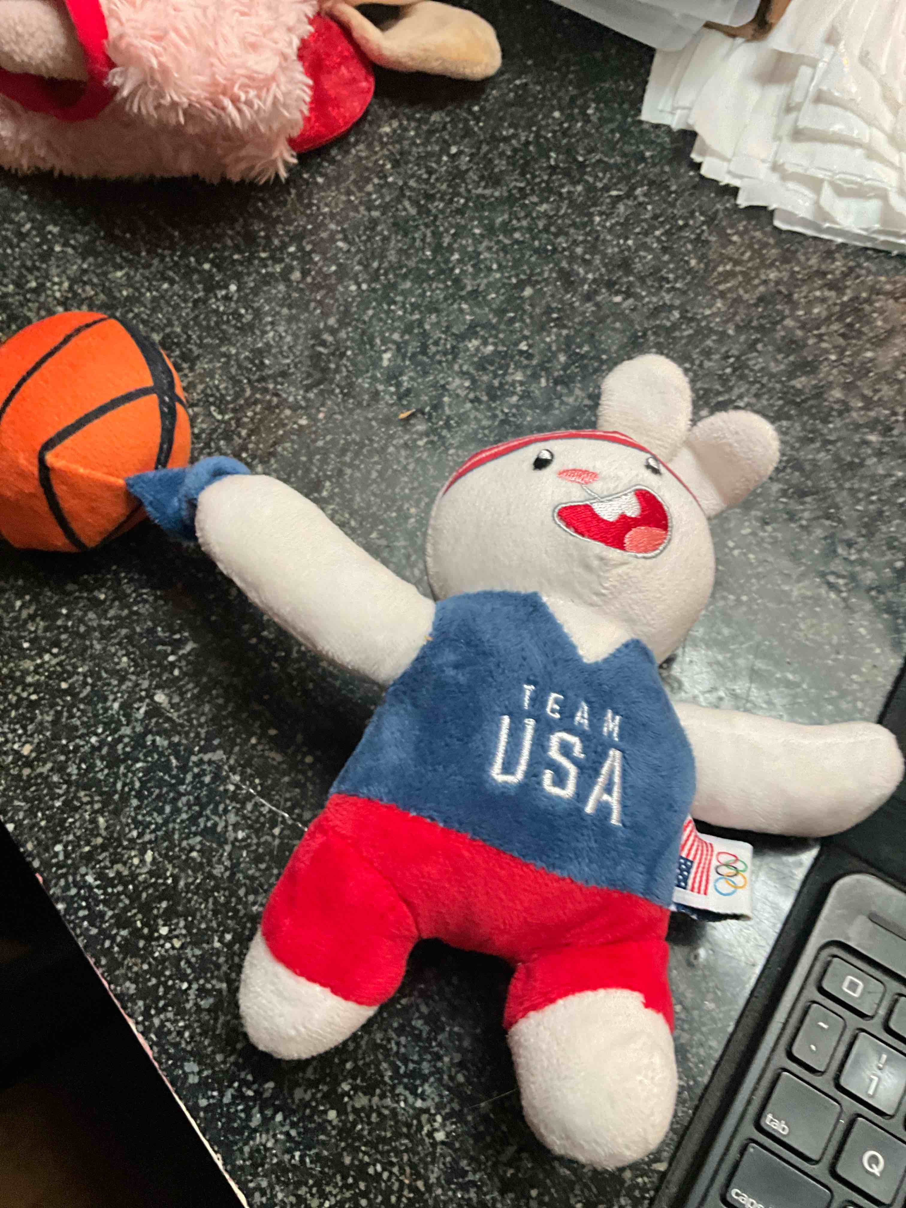 Team USA - Dog Toy 
