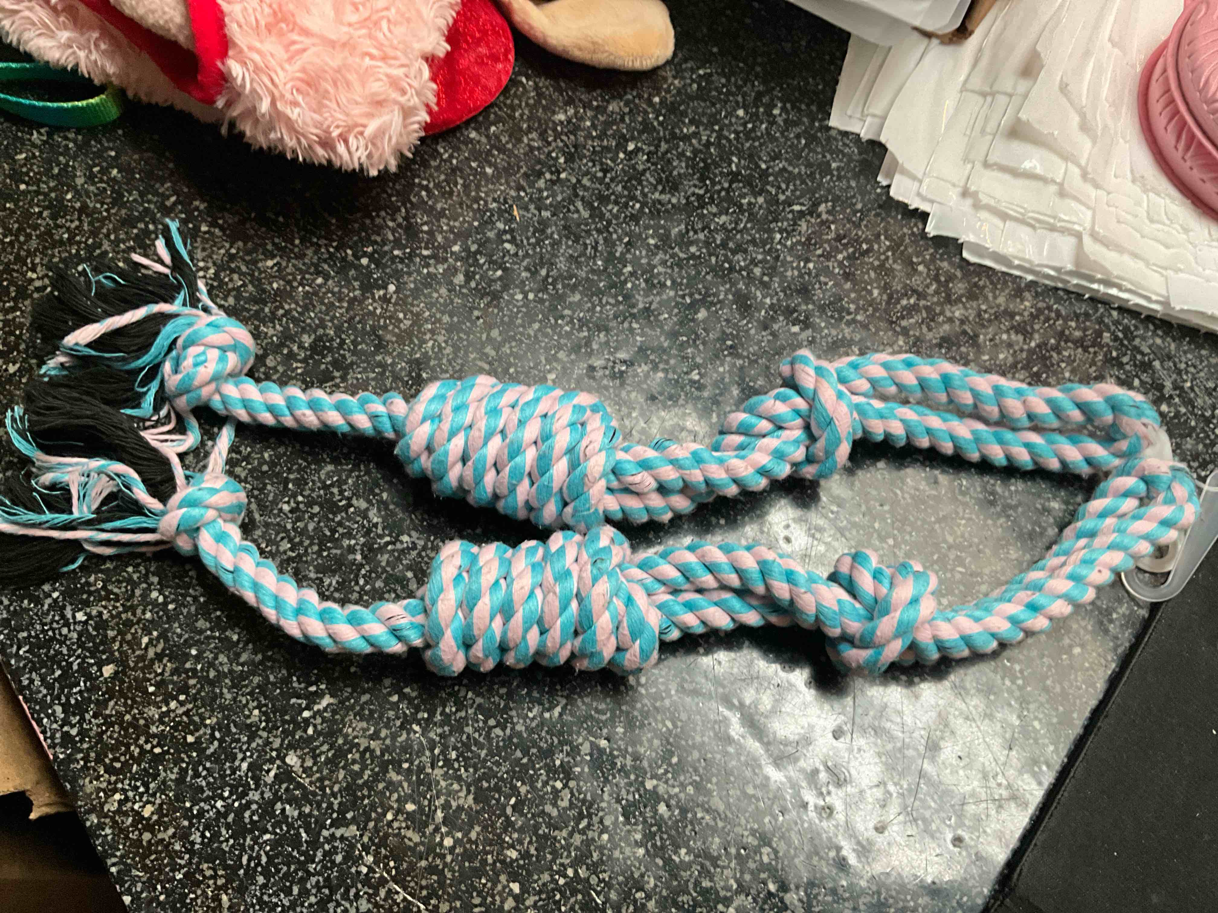 Dog - Tug A War - Ropes 