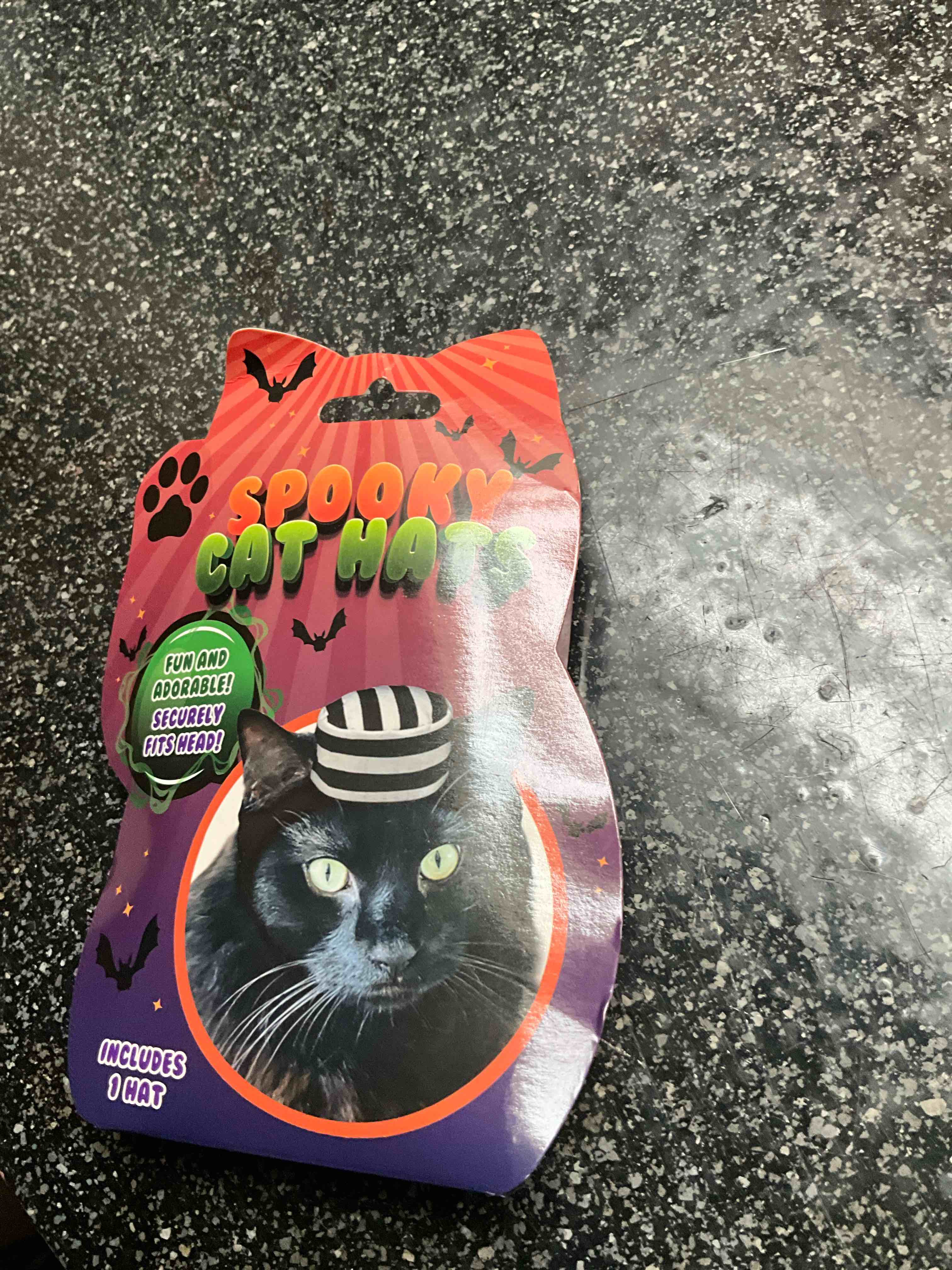 Spooky Cat Hat 