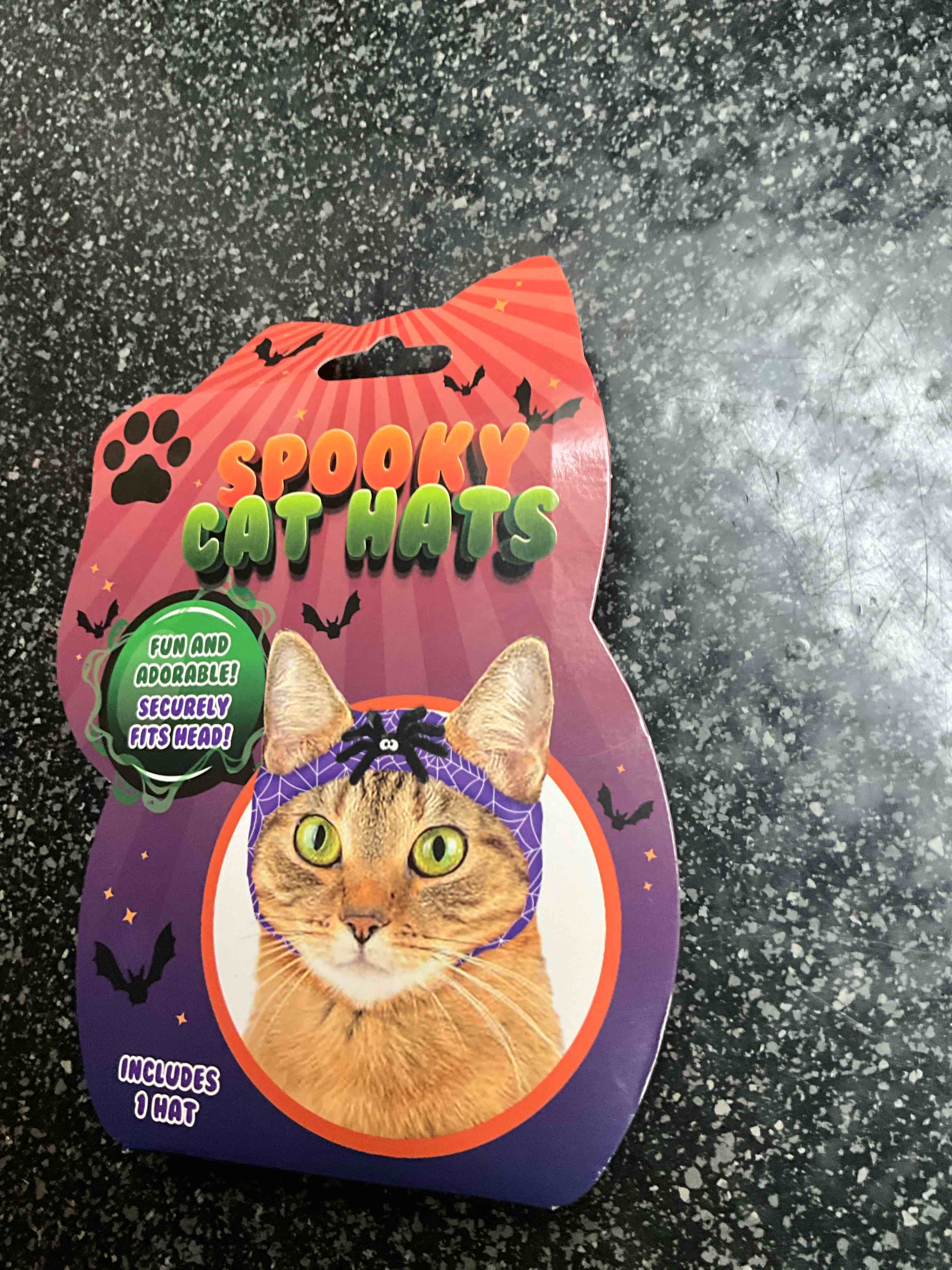 Spooky Cat Hat 