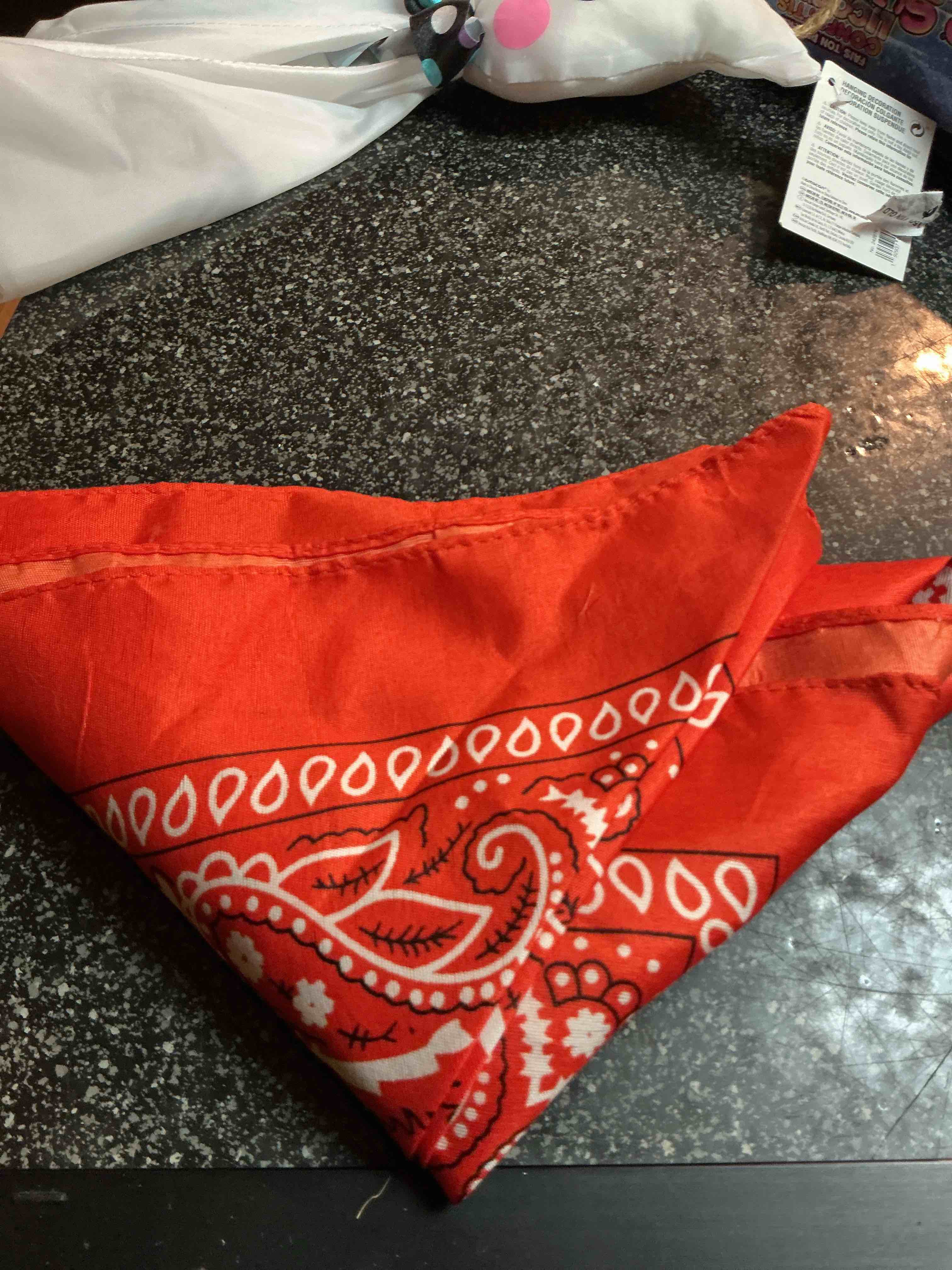 Costume /Pet Bandanna 