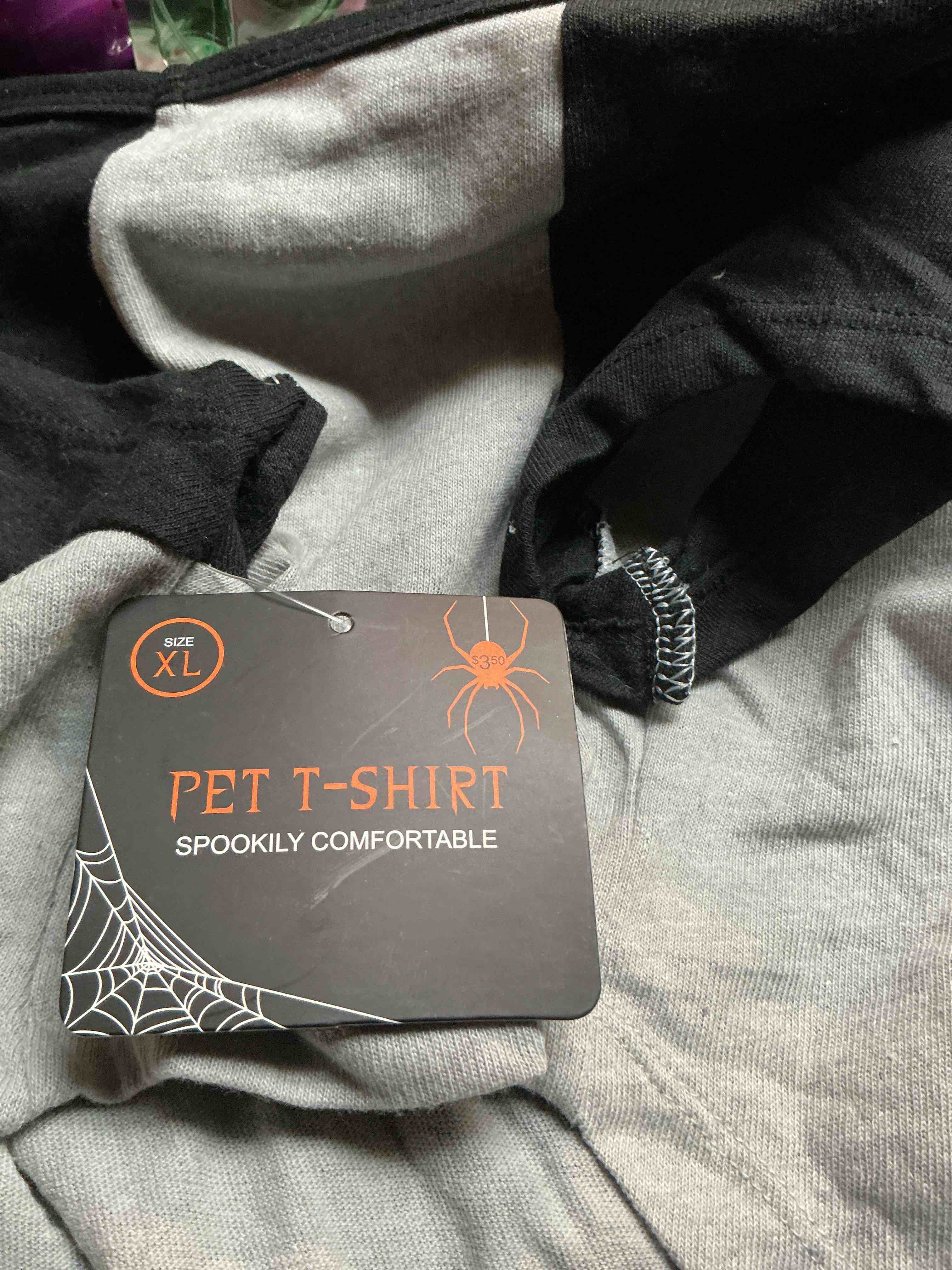 https://s3.amazonaws.com/lotting-images-prod/webster/WEB6311240_1759713539191.jpeg