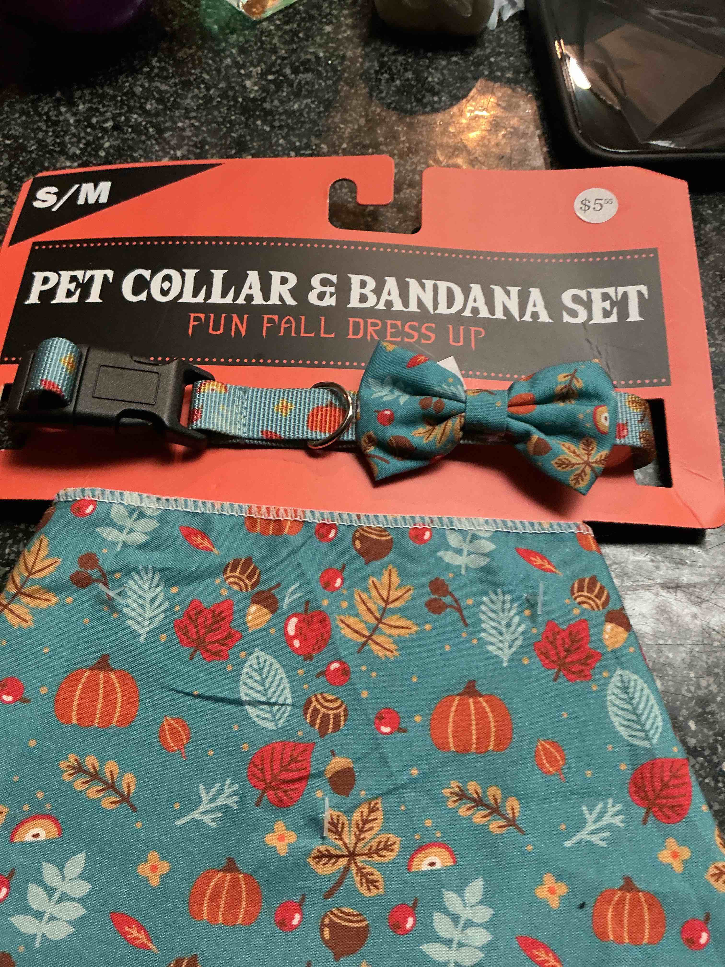 Pet Collar & Bandana Set Size M 