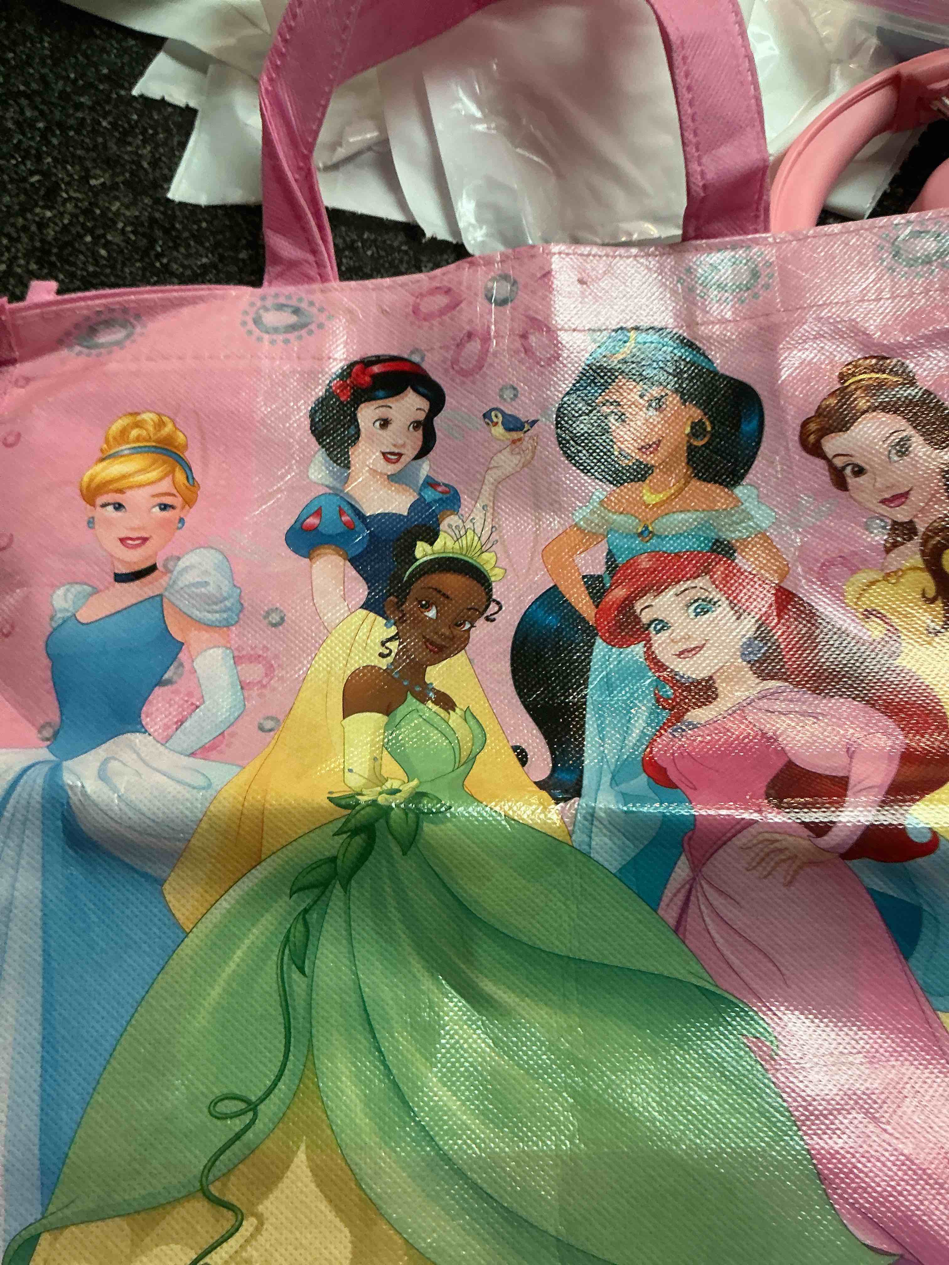 Disney Bag 