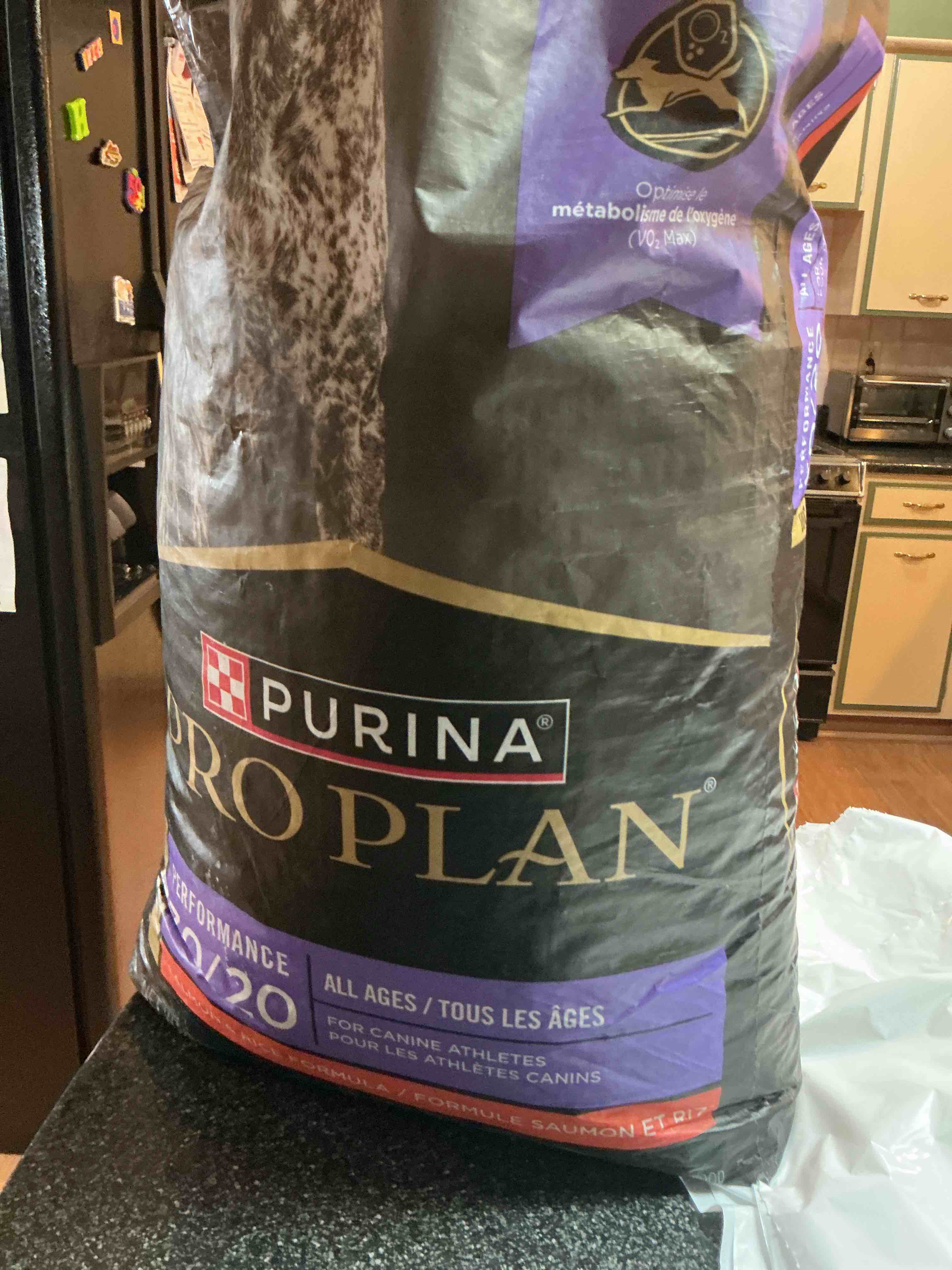Purina Proplan Salmon & Rice - 33 Lbs. 