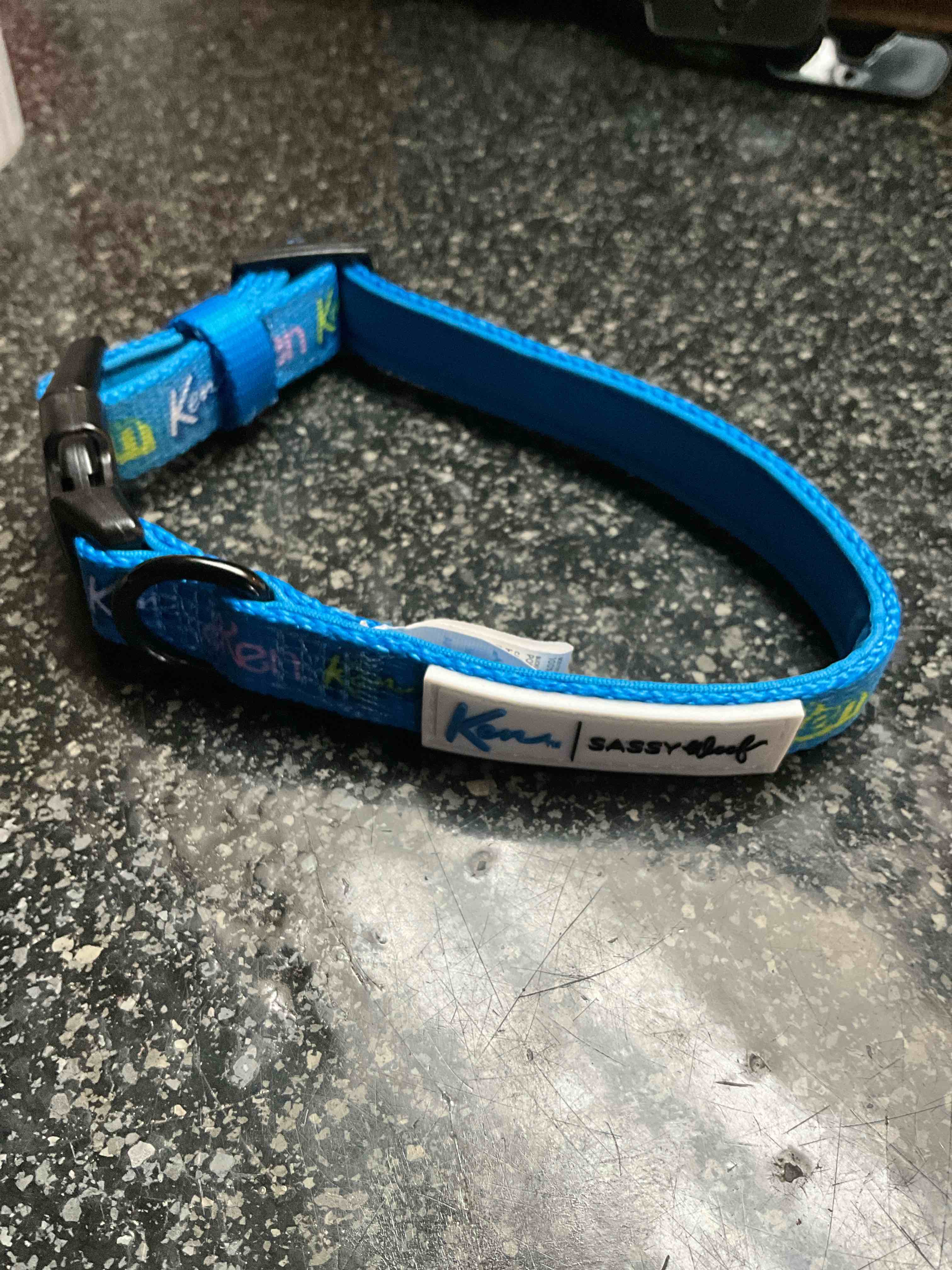 Ken - Sassy Woof - Collar - Size - S