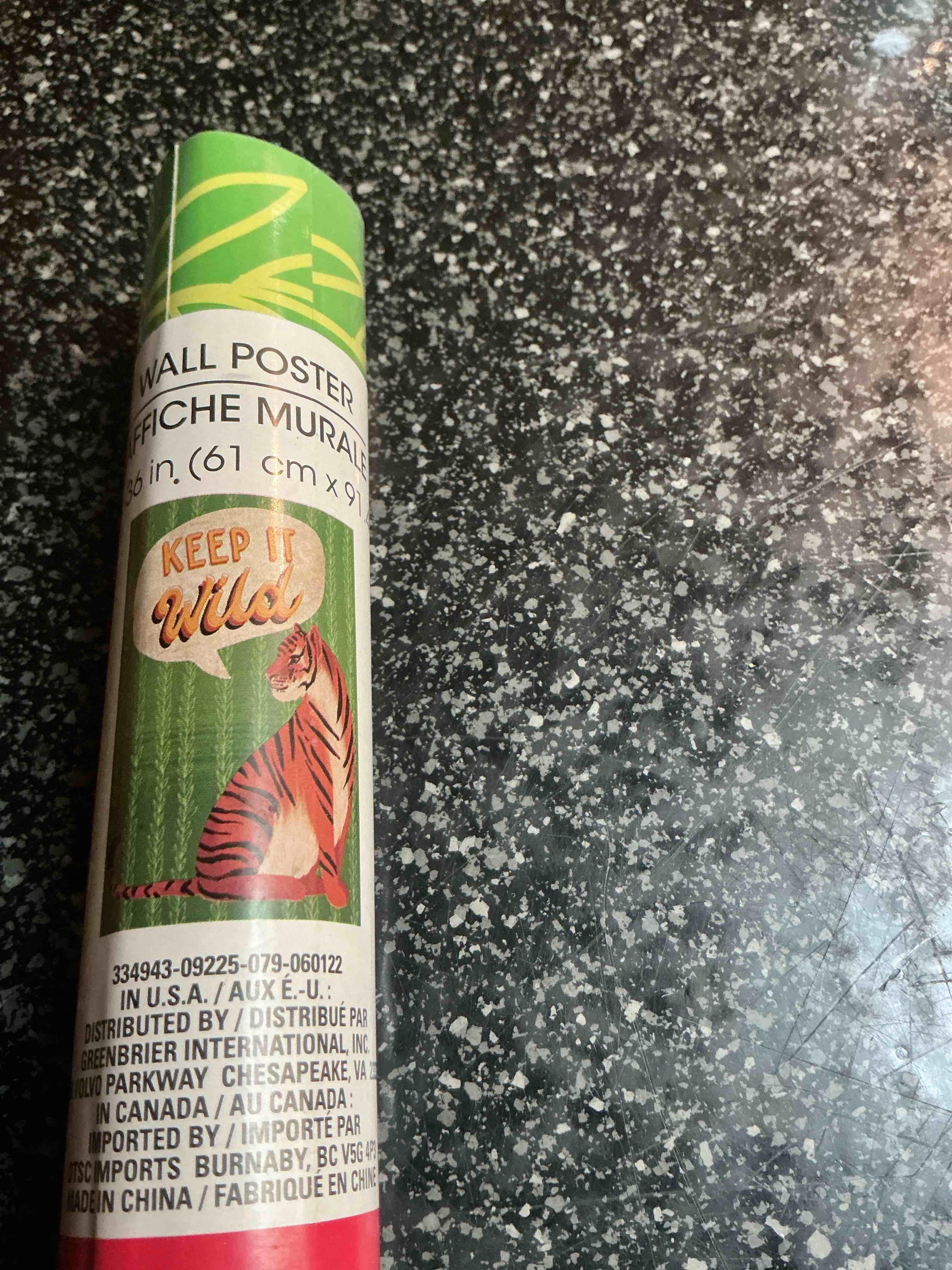 Wall Poster 24 “ X 36 “