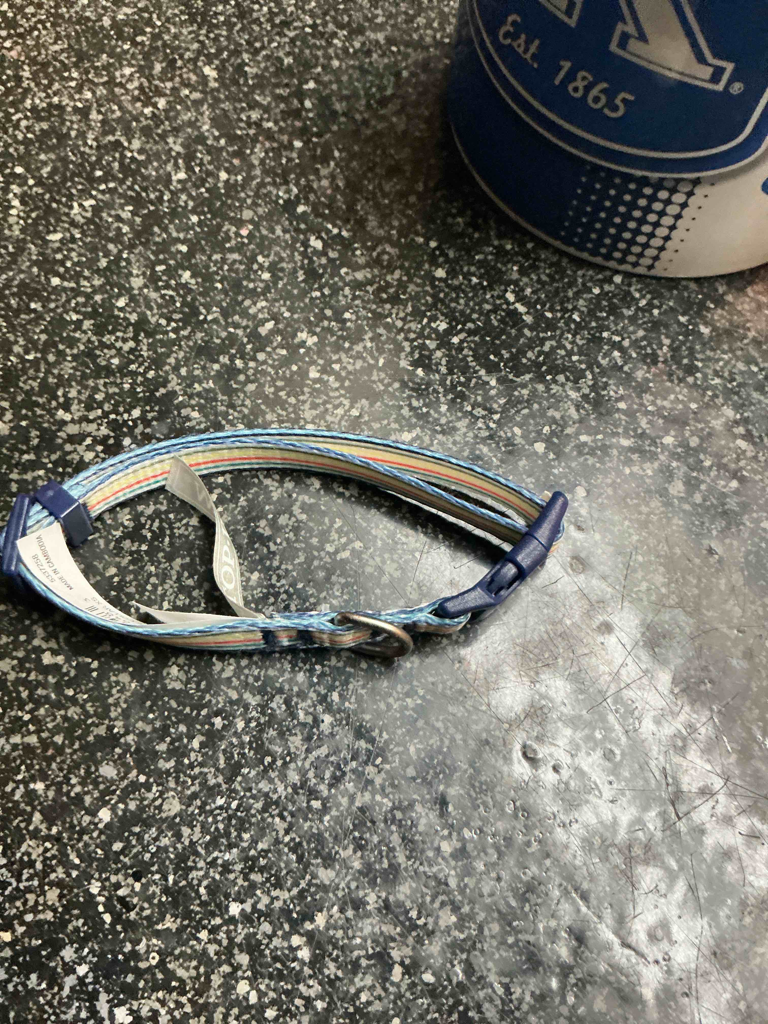 Top Paw Pet Collar - Size M