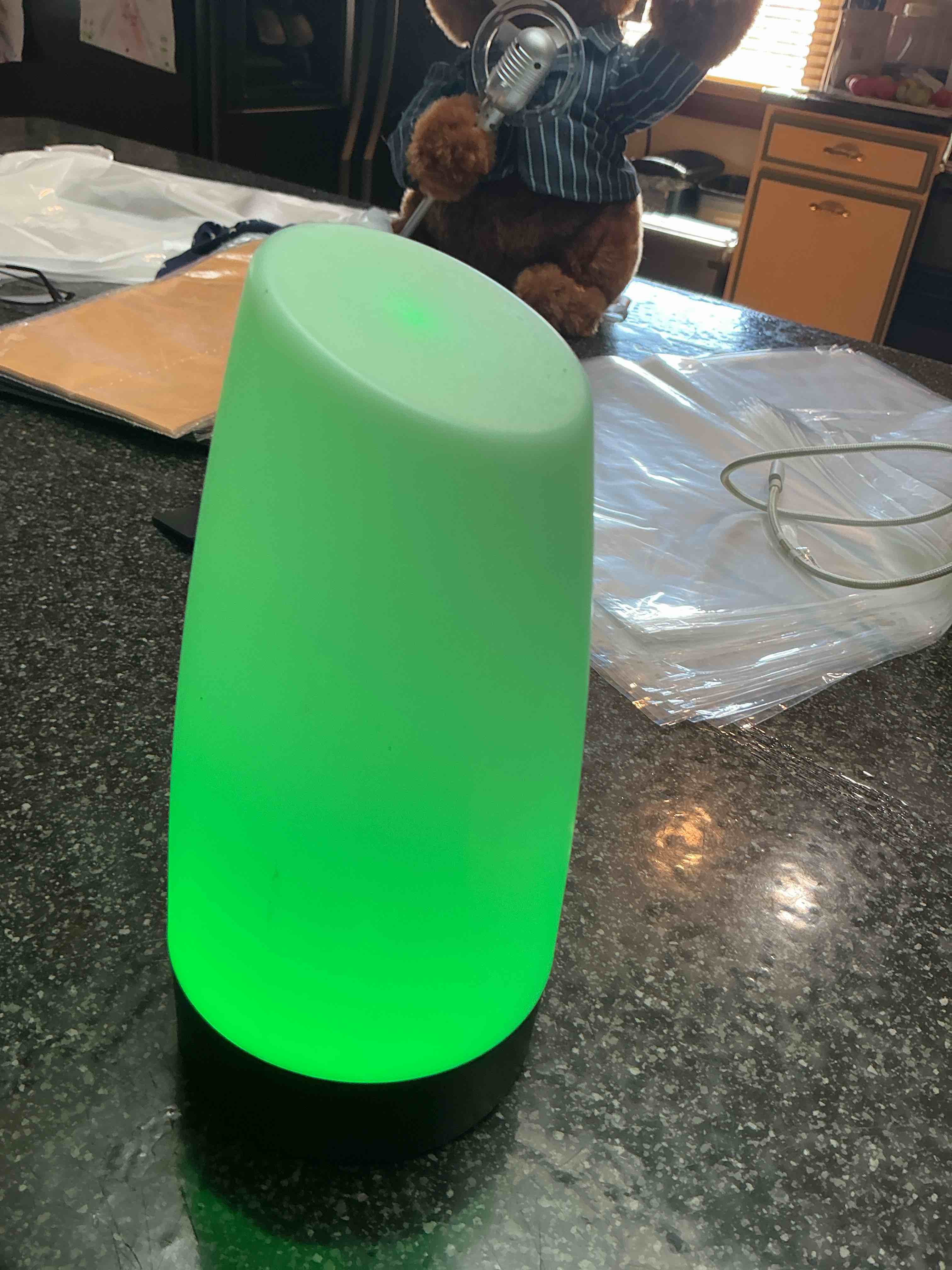 LED Night Light Batteries Not Included