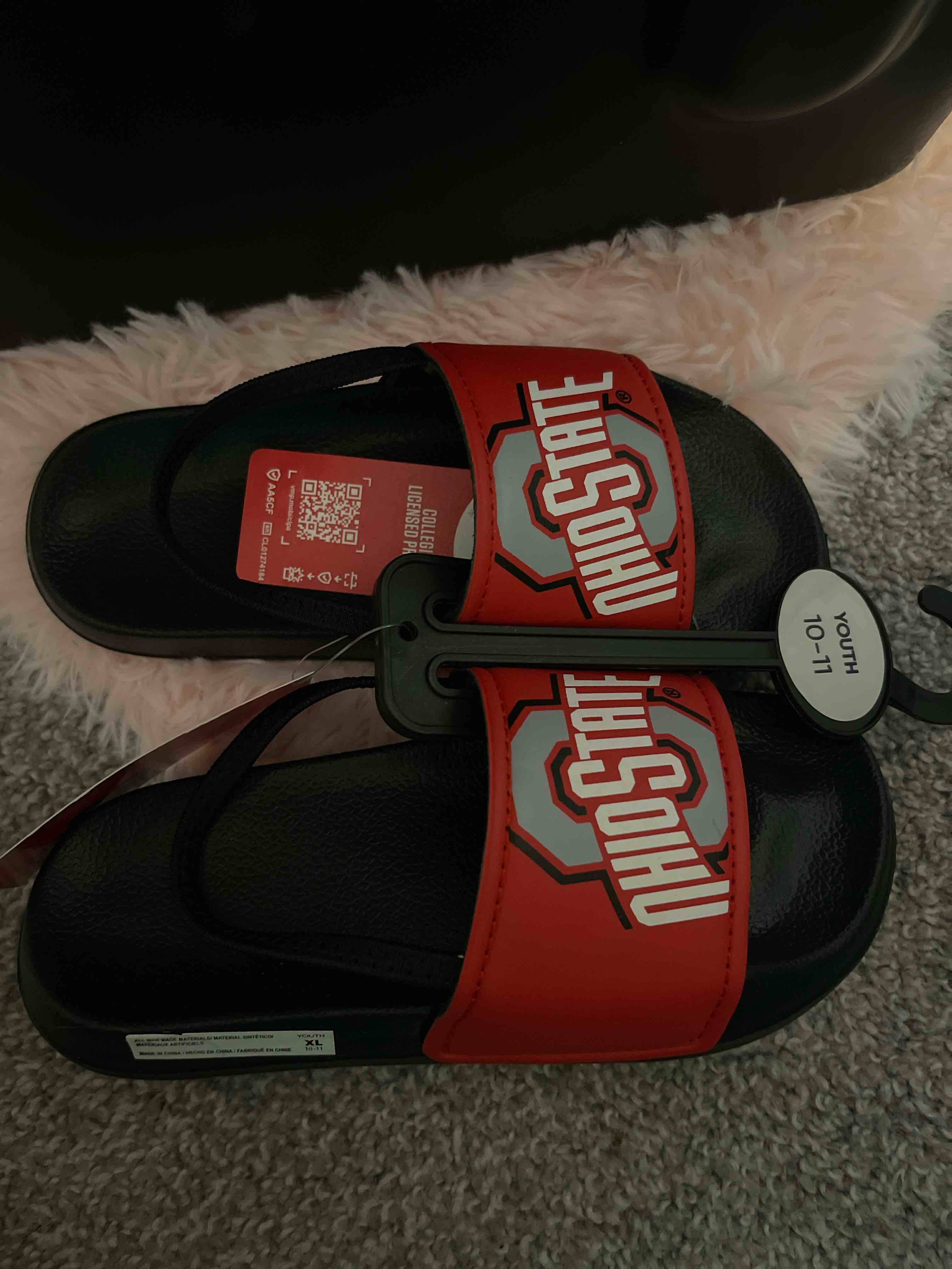 Ohio State Slides