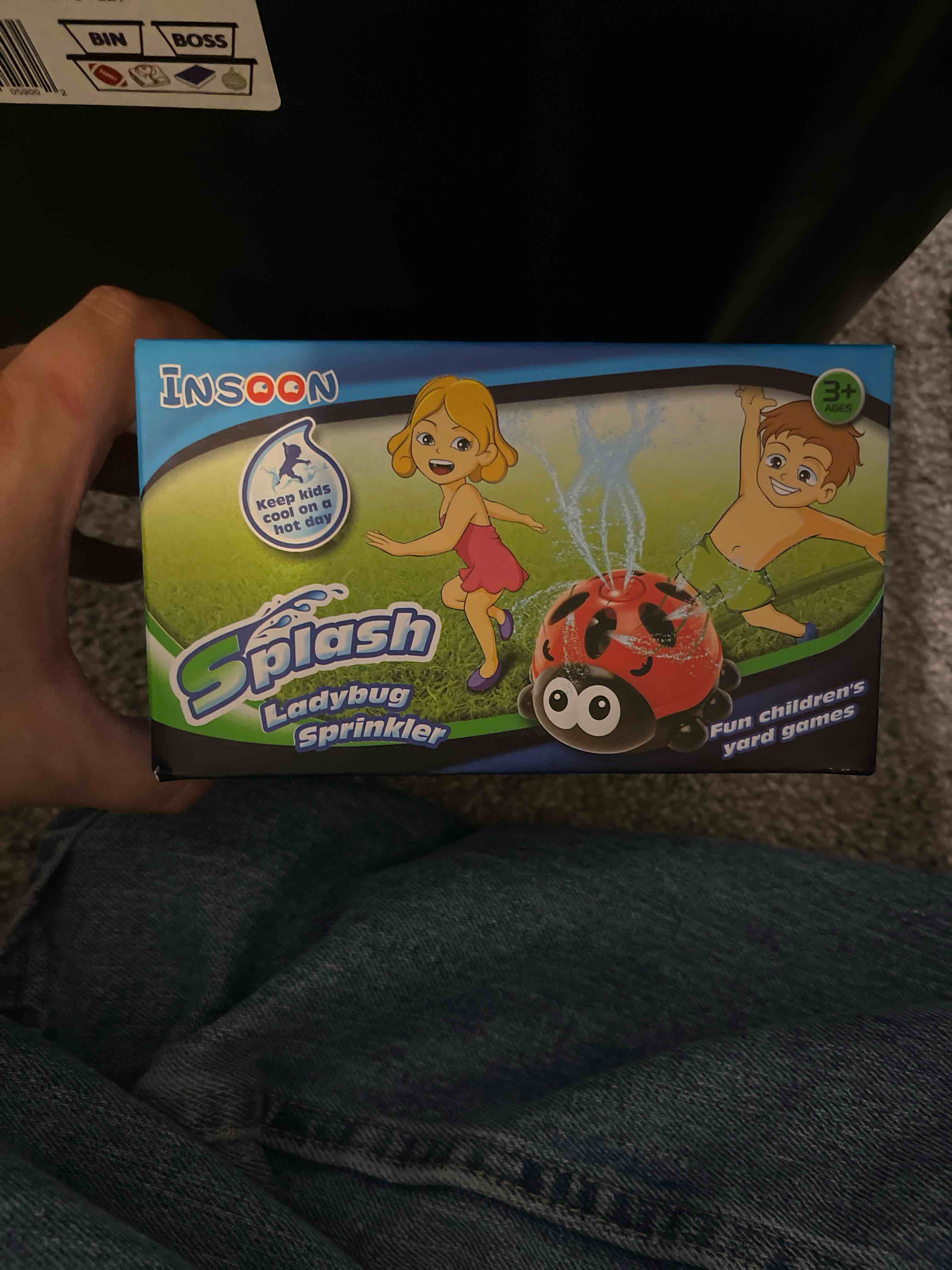 Splash Ladybug Sprinkler