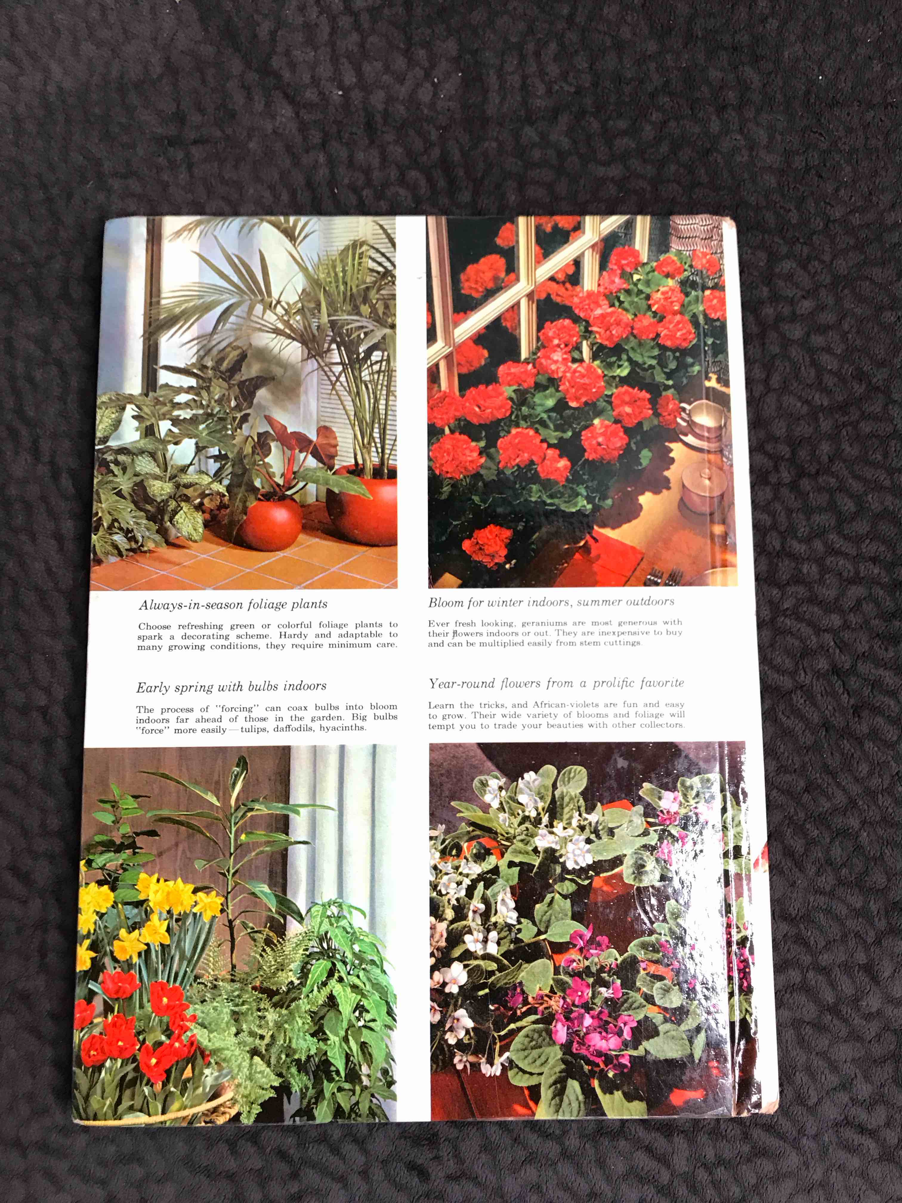 Better Homes & Gardens House Plants How to for the Indoor Gardener