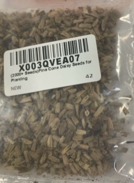 (2000+ Seeds) Pine Cone Daisy Seeds for Planting