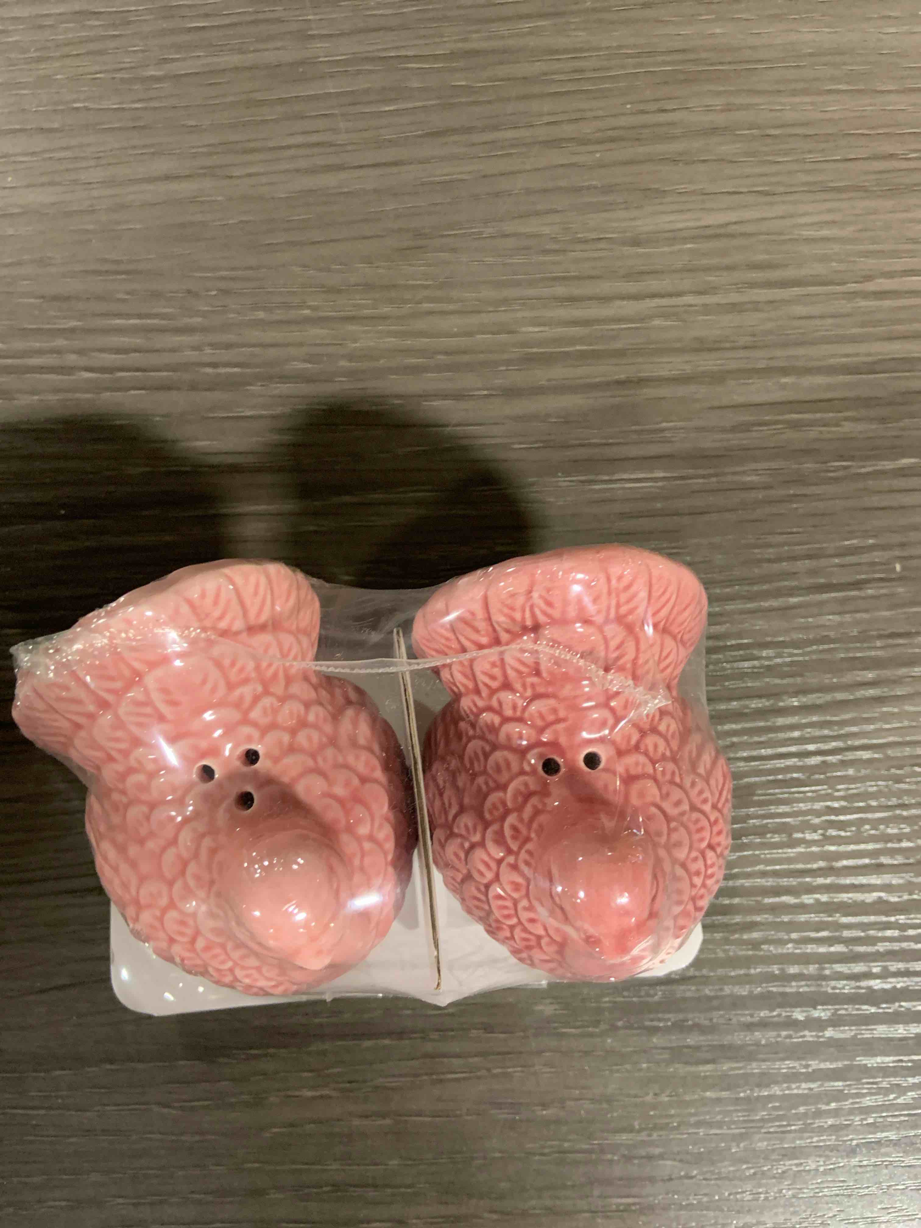 2 pcs ceramic salt and pepper shaker set 