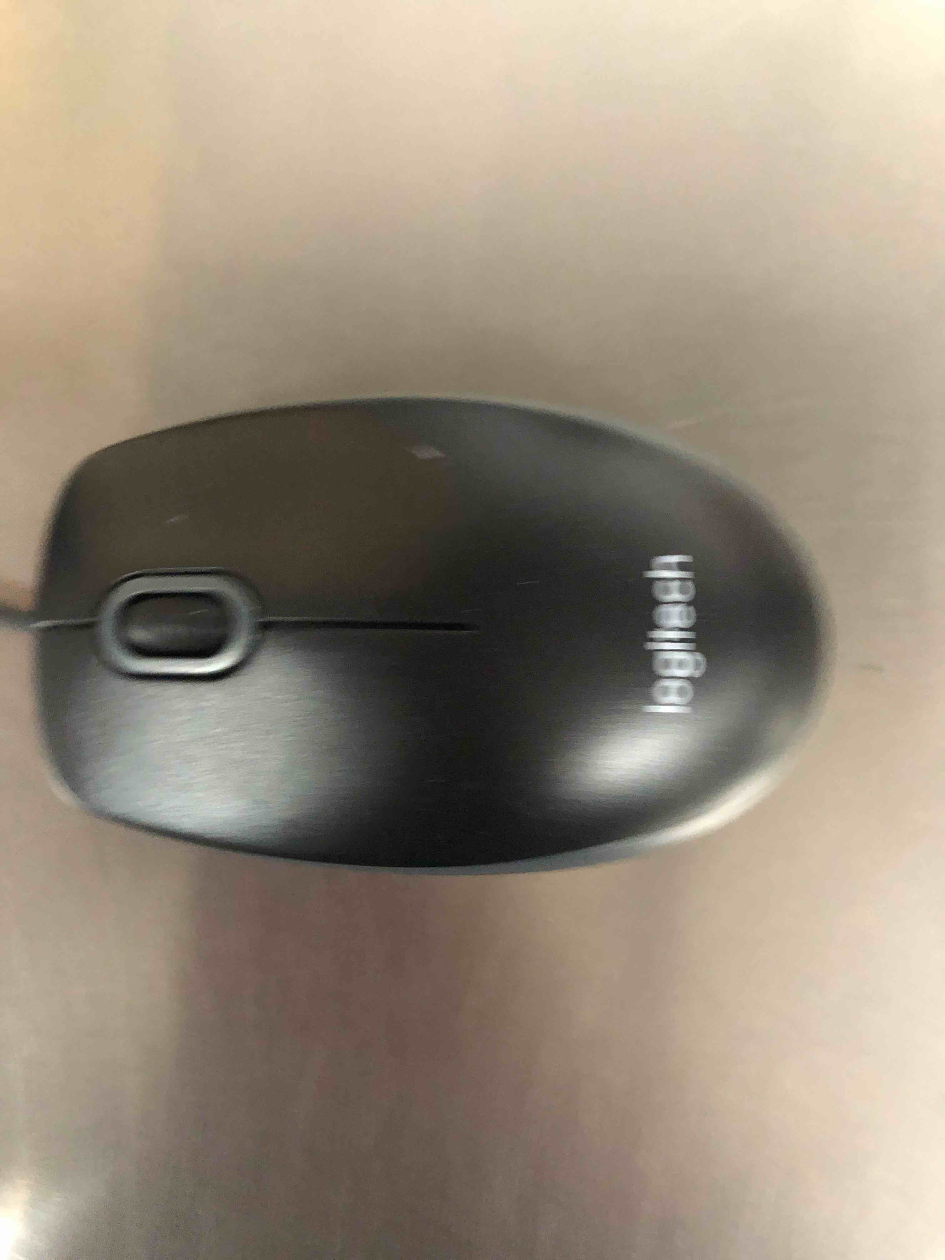 https://s3.amazonaws.com/lotting-images-prod/webster/_1704829577720.jpeg
