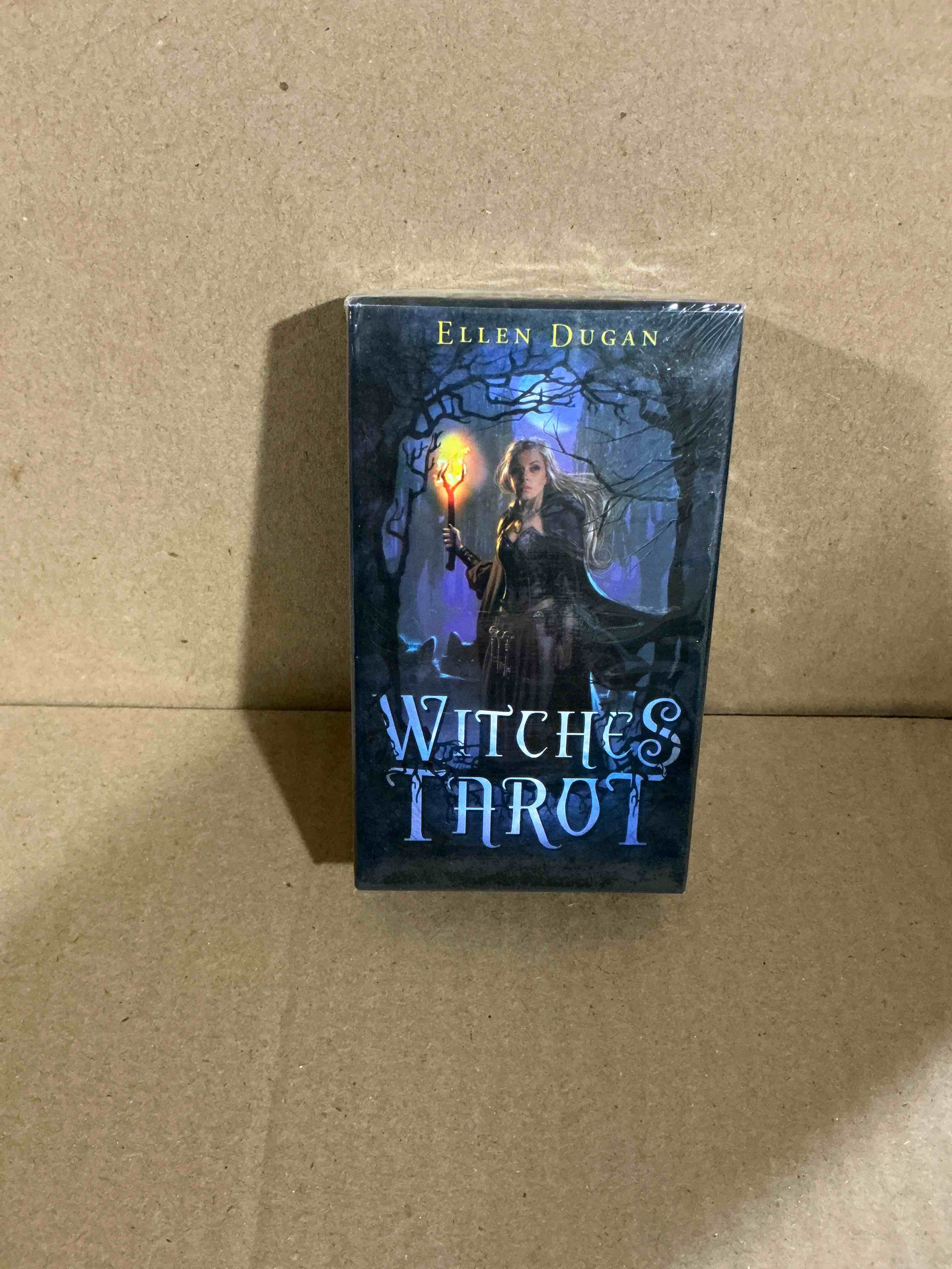 https://s3.amazonaws.com/lotting-images-prod/witchestarot_1755784679322.jpeg