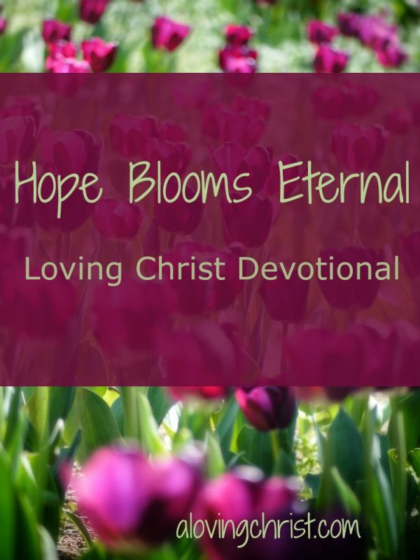 Hope Blooms Eternal Loving Christ Devotional