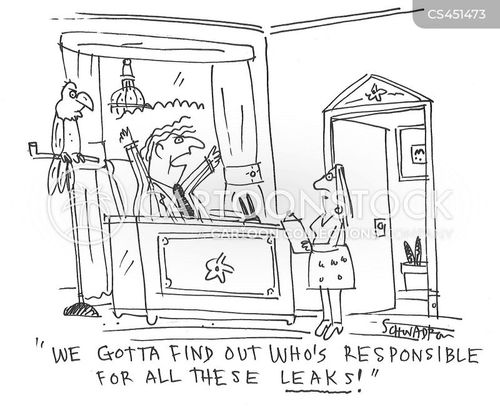 Political Scandals Cartoons and Comics funny pictures from CartoonStock