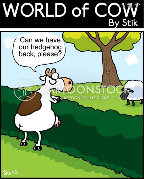 joke about the farmer and the three hogs Jokes farm humor puns dairy