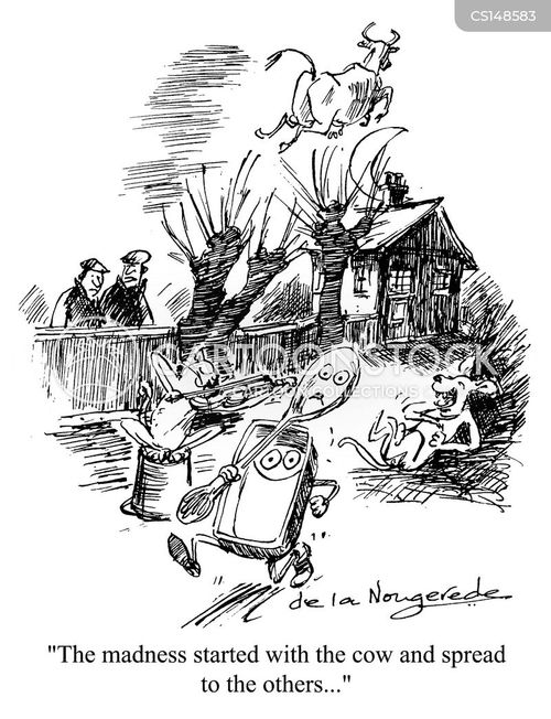 To Fuddle Cartoon Cat And The Fiddle Cartoons and Comics - funny pictures from CartoonStock
